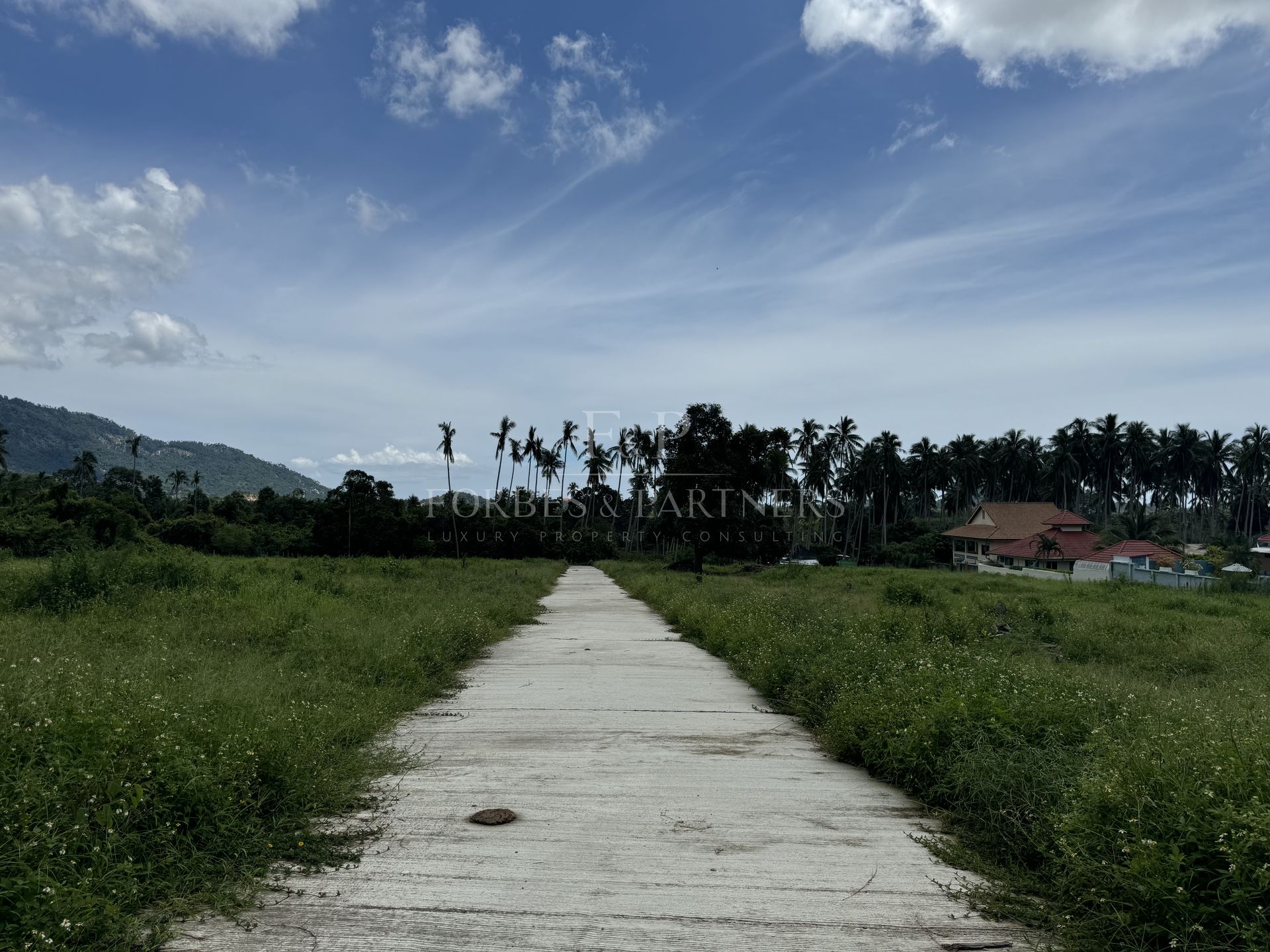 Strategic Investment Parcels Near Lat Wanon Waterfall - Lipa Noi, Ko Samui, Thailand