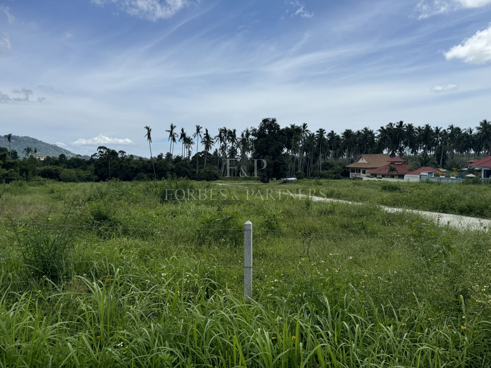 Strategic Investment Parcels Near Lat Wanon Waterfall - Lipa Noi, Ko Samui, Thailand