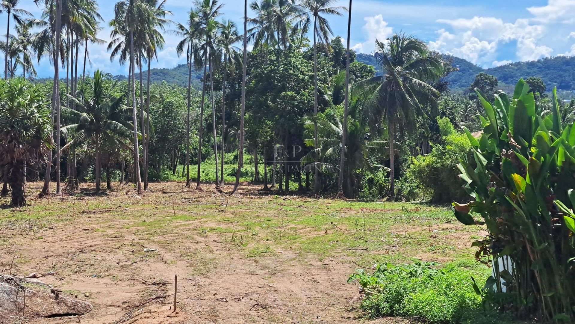 Expansive Sea View Plot: 6,856 sqm in Maret’s Prime Location, Koh Samui - Lamai, Ko Samui, Thailand