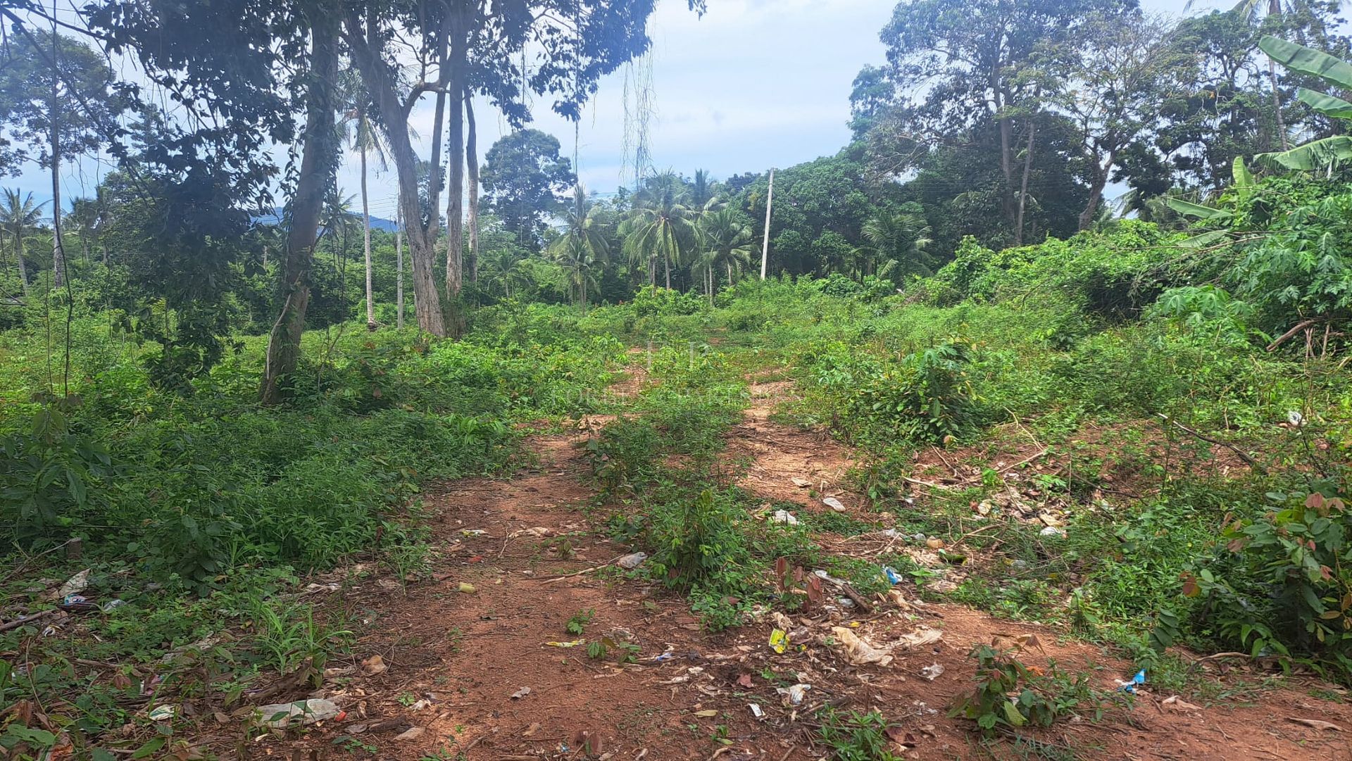 Expansive Sea View Plot: 6,856 sqm in Maret’s Prime Location, Koh Samui - Lamai, Ko Samui, Thailand
