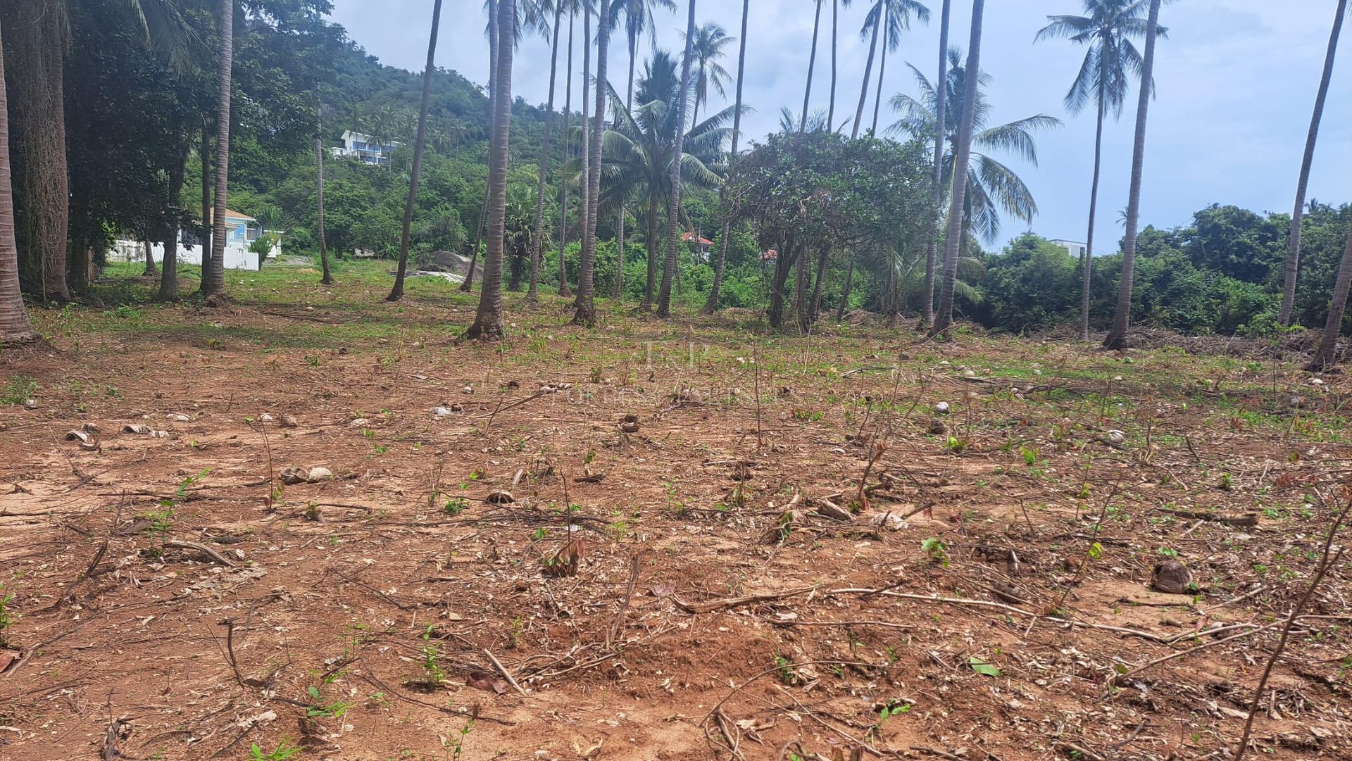 Expansive Sea View Plot: 6,856 sqm in Maret’s Prime Location, Koh Samui - Lamai, Ko Samui, Thailand