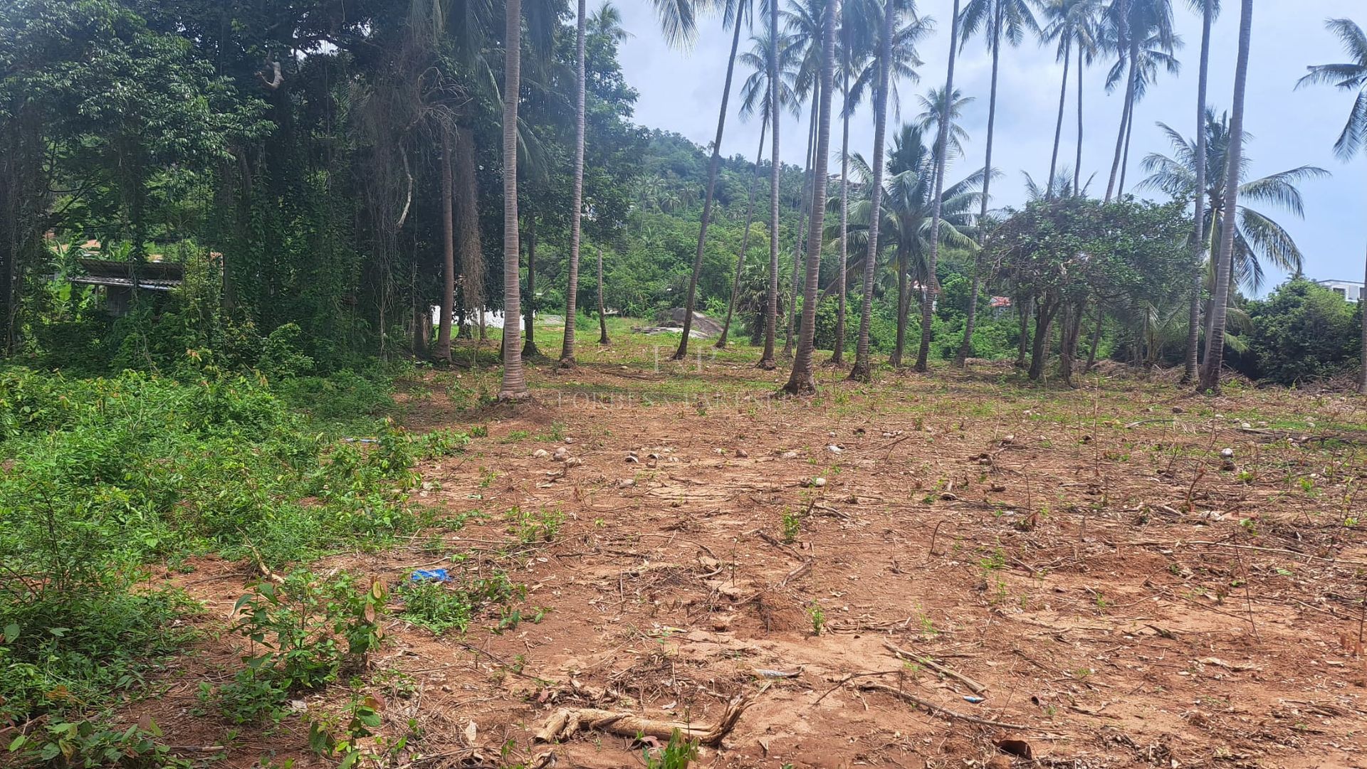Expansive Sea View Plot: 6,856 sqm in Maret’s Prime Location, Koh Samui - Lamai, Ko Samui, Thailand