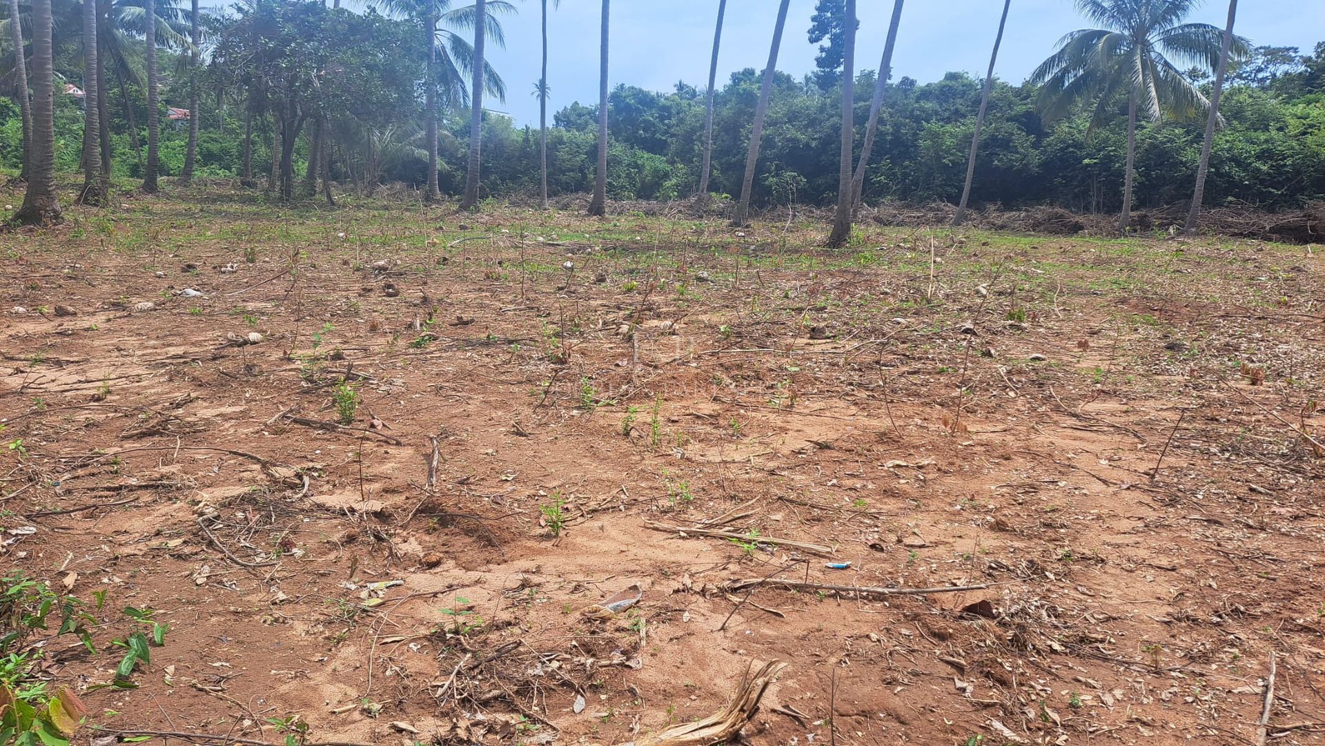 Expansive Sea View Plot: 6,856 sqm in Maret’s Prime Location, Koh Samui - Lamai, Ko Samui, Thailand