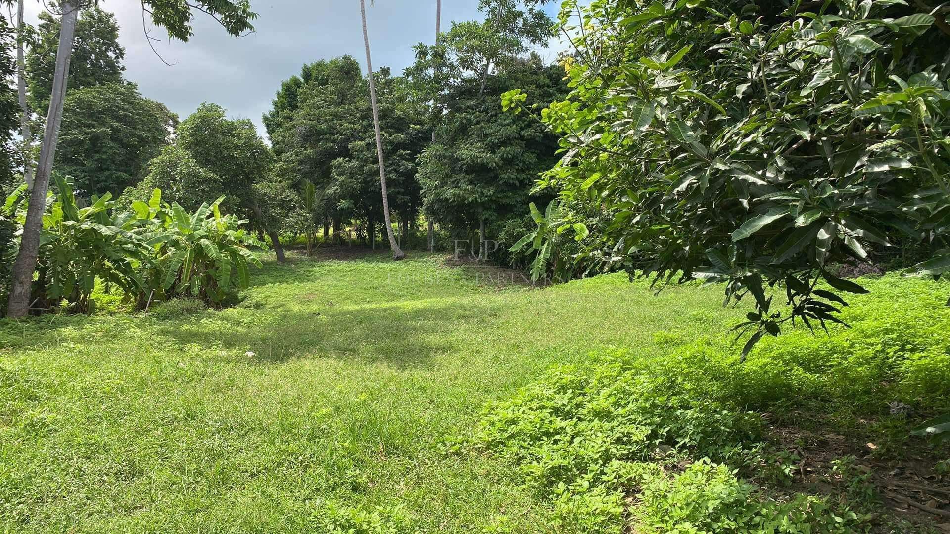 Strategic Investment Plot: Prime Chaweng Location - Chaweng, Ko Samui, Thailand