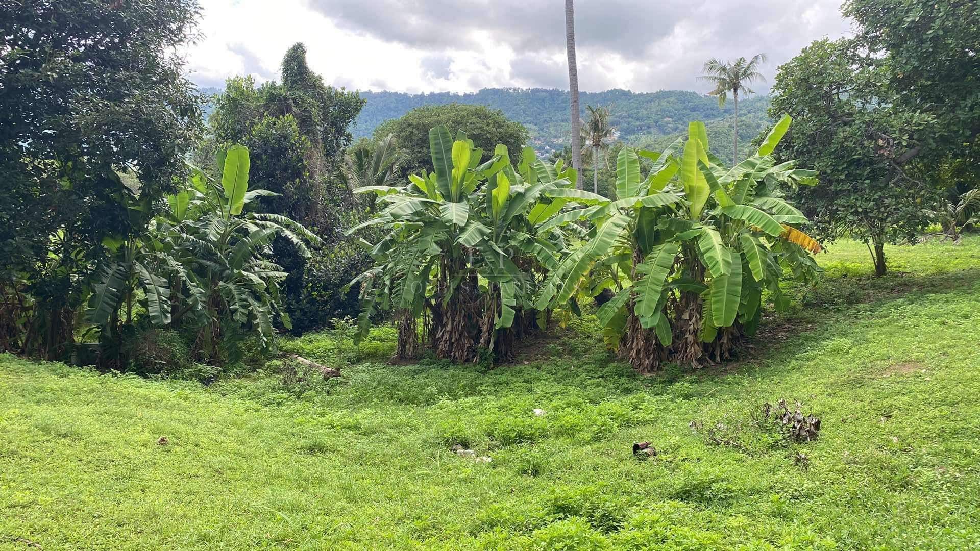 Strategic Investment Plot: Prime Chaweng Location - Chaweng, Ko Samui, Thailand