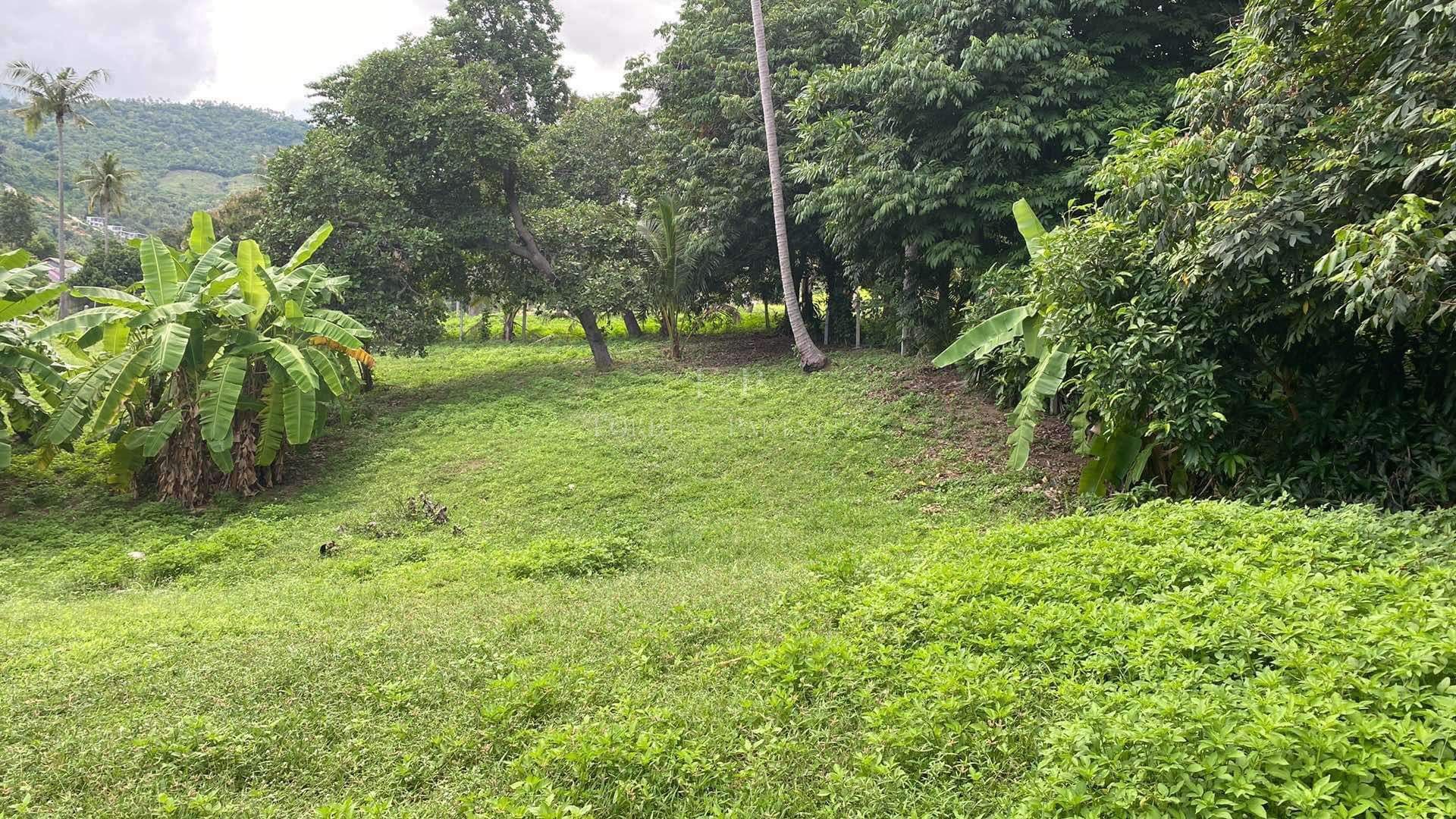 Strategic Investment Plot: Prime Chaweng Location - Chaweng, Ko Samui, Thailand