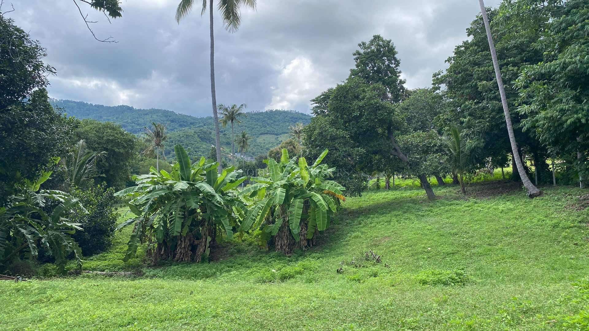 Strategic Investment Plot: Prime Chaweng Location - Chaweng, Ko Samui, Thailand
