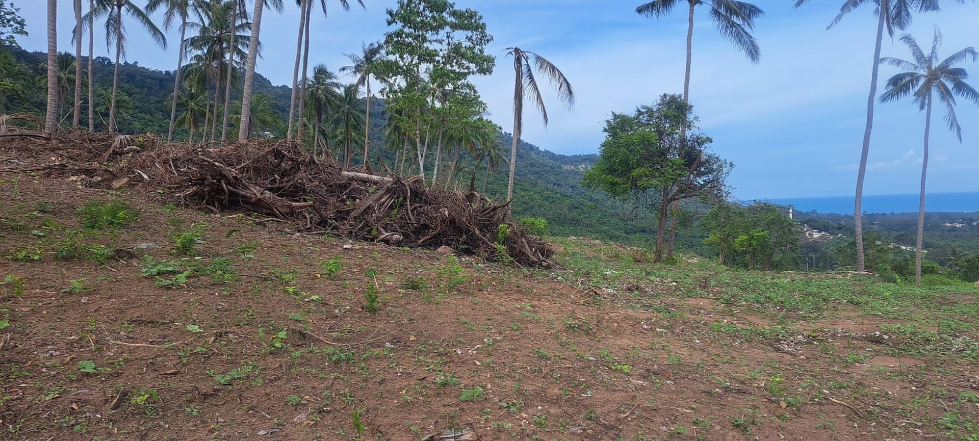 Spectacular Investment Opportunity: 56 Rai Sea View Land for Sale in Prime Namuang Location Koh Samui - Namuang, Ko Samui, Thailand