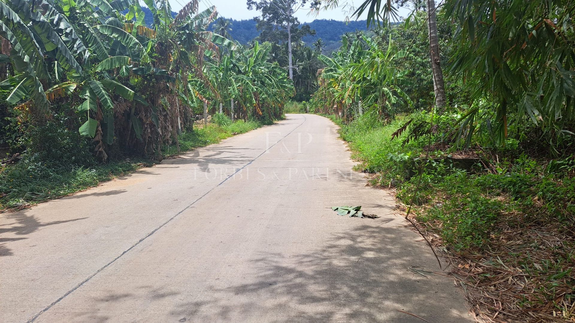Prime Lamai Plot: 3,396 sqm with Complete Infrastructure - Lamai, Ko Samui, Thailand