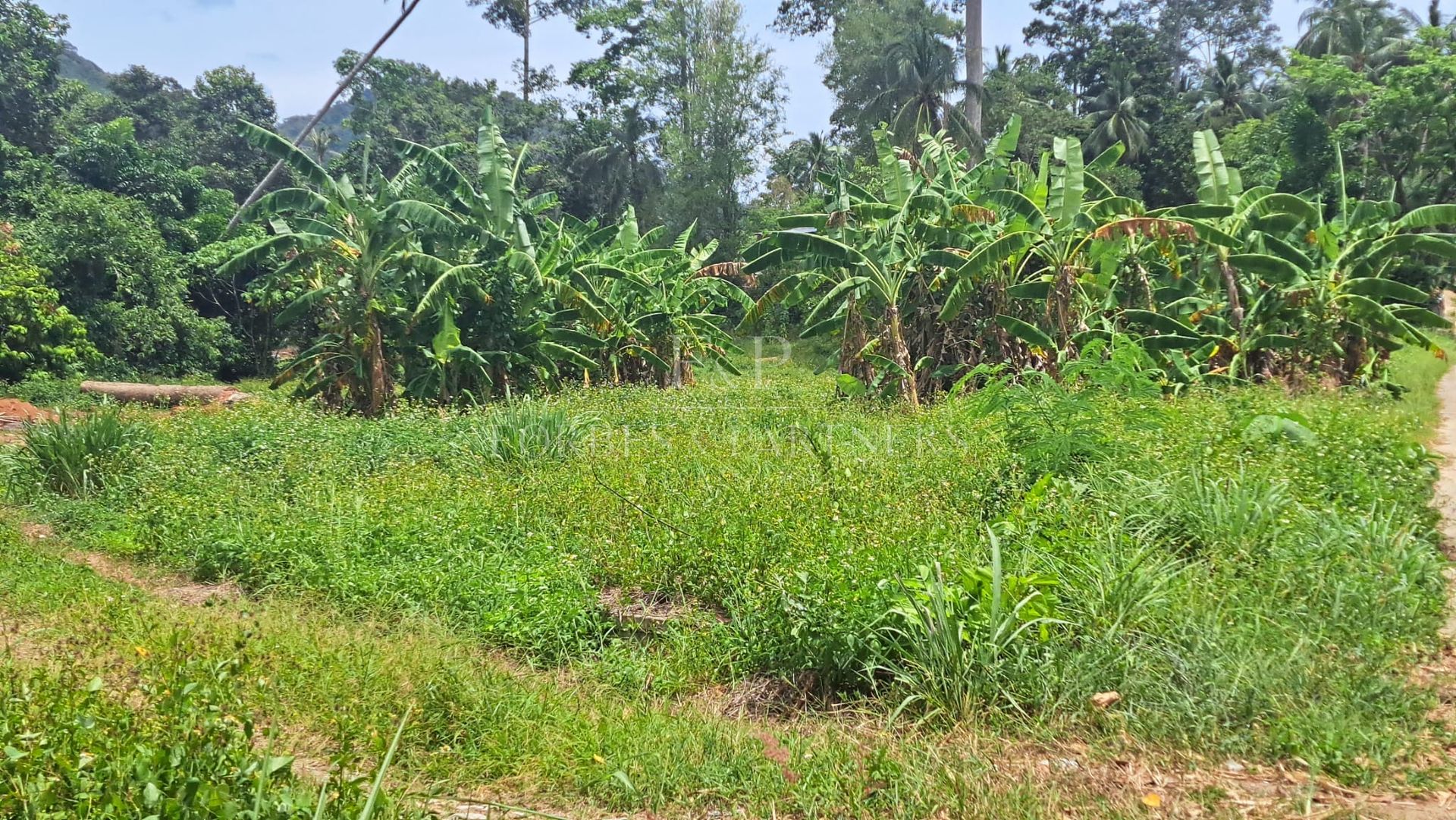 Prime Lamai Plot: 3,396 sqm with Complete Infrastructure - Lamai, Ko Samui, Thailand