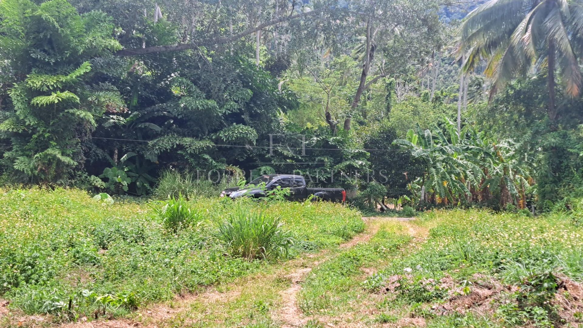 Prime Lamai Plot: 3,396 sqm with Complete Infrastructure - Lamai, Ko Samui, Thailand