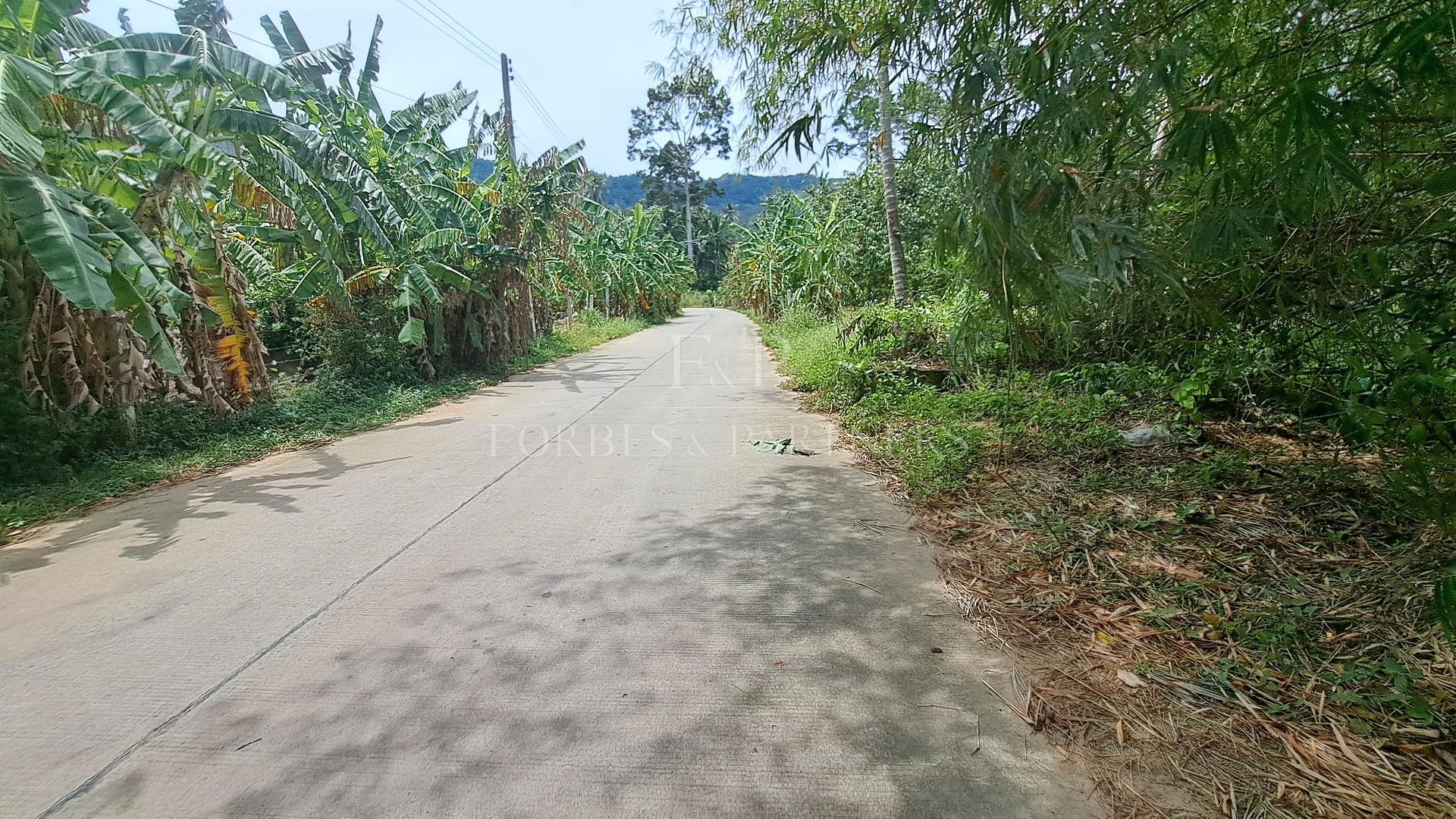 Prime Lamai Plot: 3,396 sqm with Complete Infrastructure - Lamai, Ko Samui, Thailand