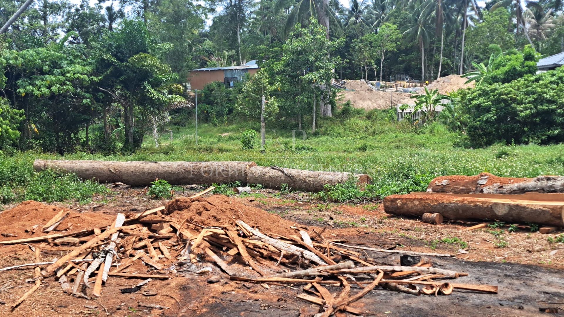 Prime Lamai Plot: 3,396 sqm with Complete Infrastructure - Lamai, Ko Samui, Thailand