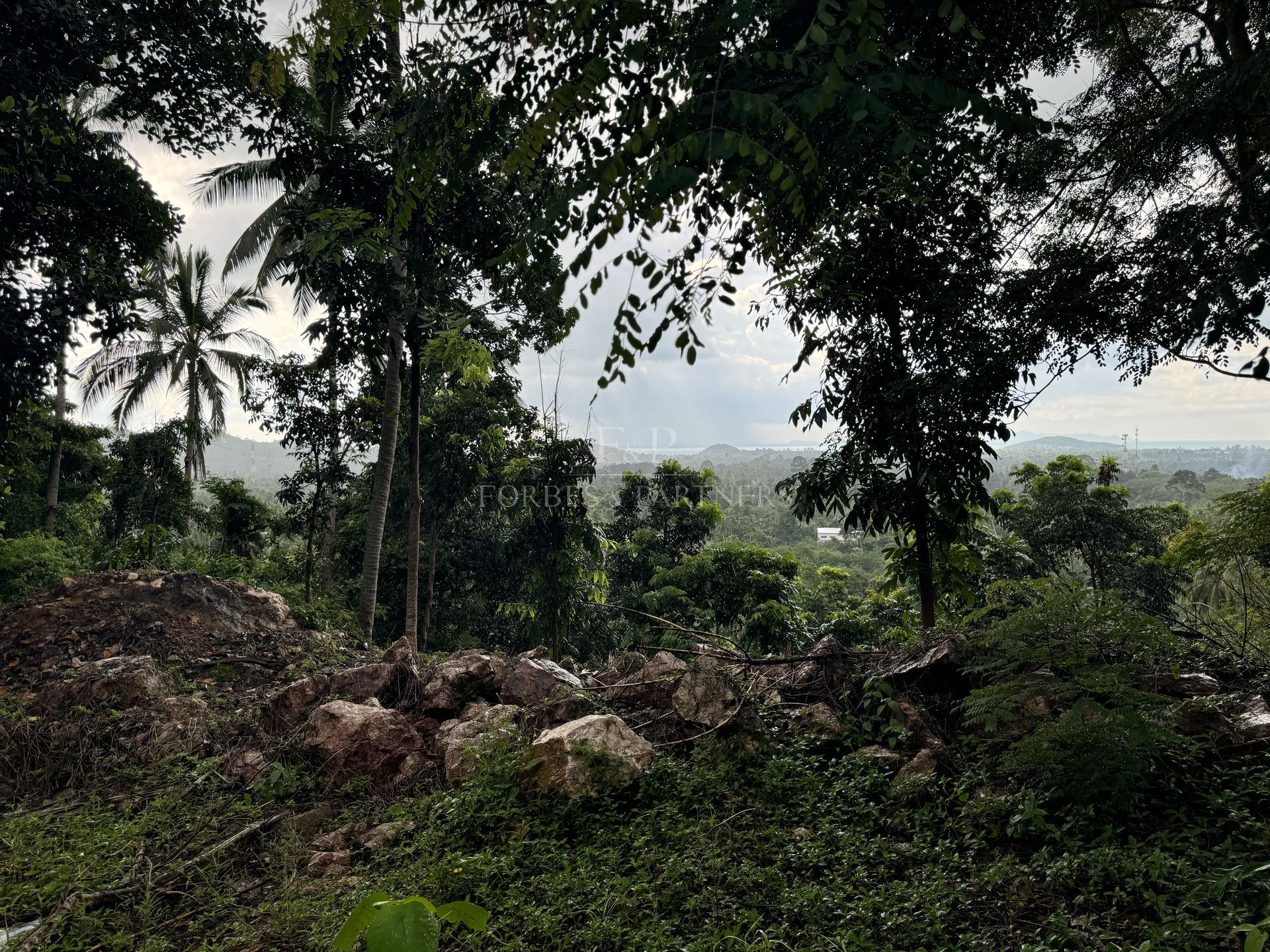 Premium 1600 SQM Mountain Land with Sea View for Sale in Lipa Noi, Koh Samui - Lipa Noi, Ko Samui, Thailand