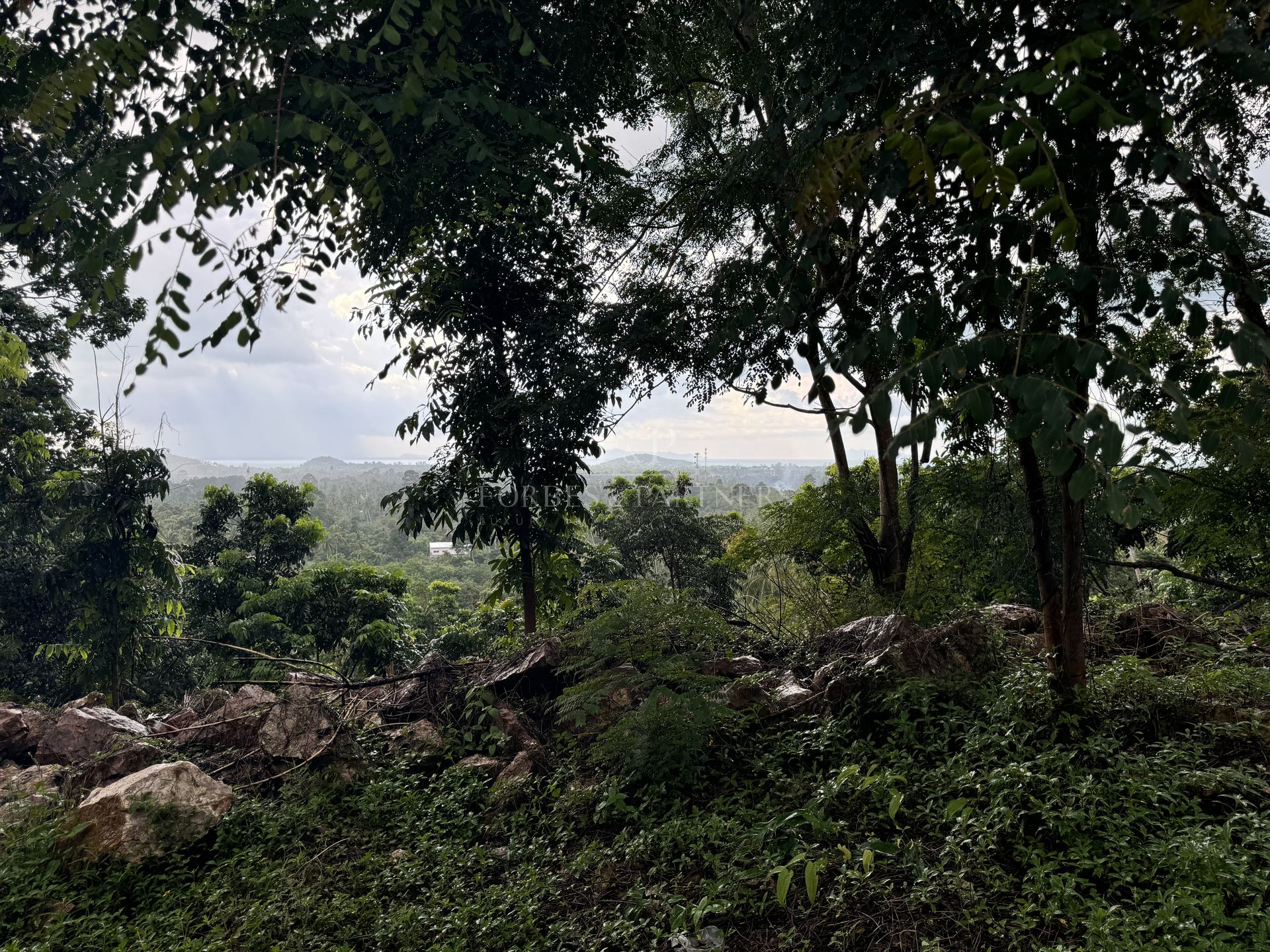 Premium 1600 SQM Mountain Land with Sea View for Sale in Lipa Noi, Koh Samui - Lipa Noi, Ko Samui, Thailand