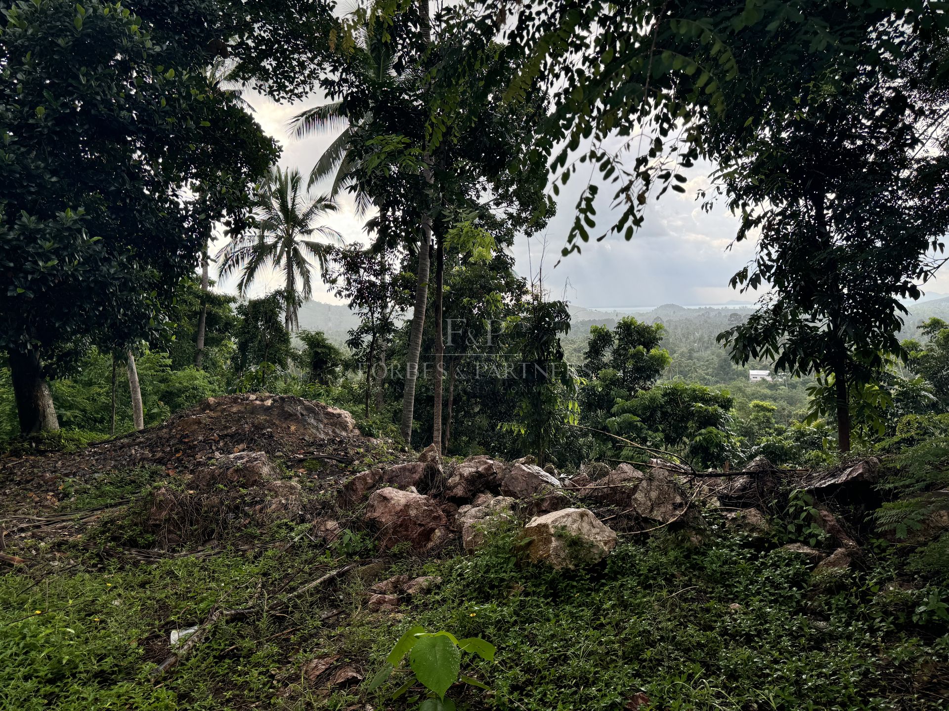 Premium 1600 SQM Mountain Land with Sea View for Sale in Lipa Noi, Koh Samui - Lipa Noi, Ko Samui, Thailand