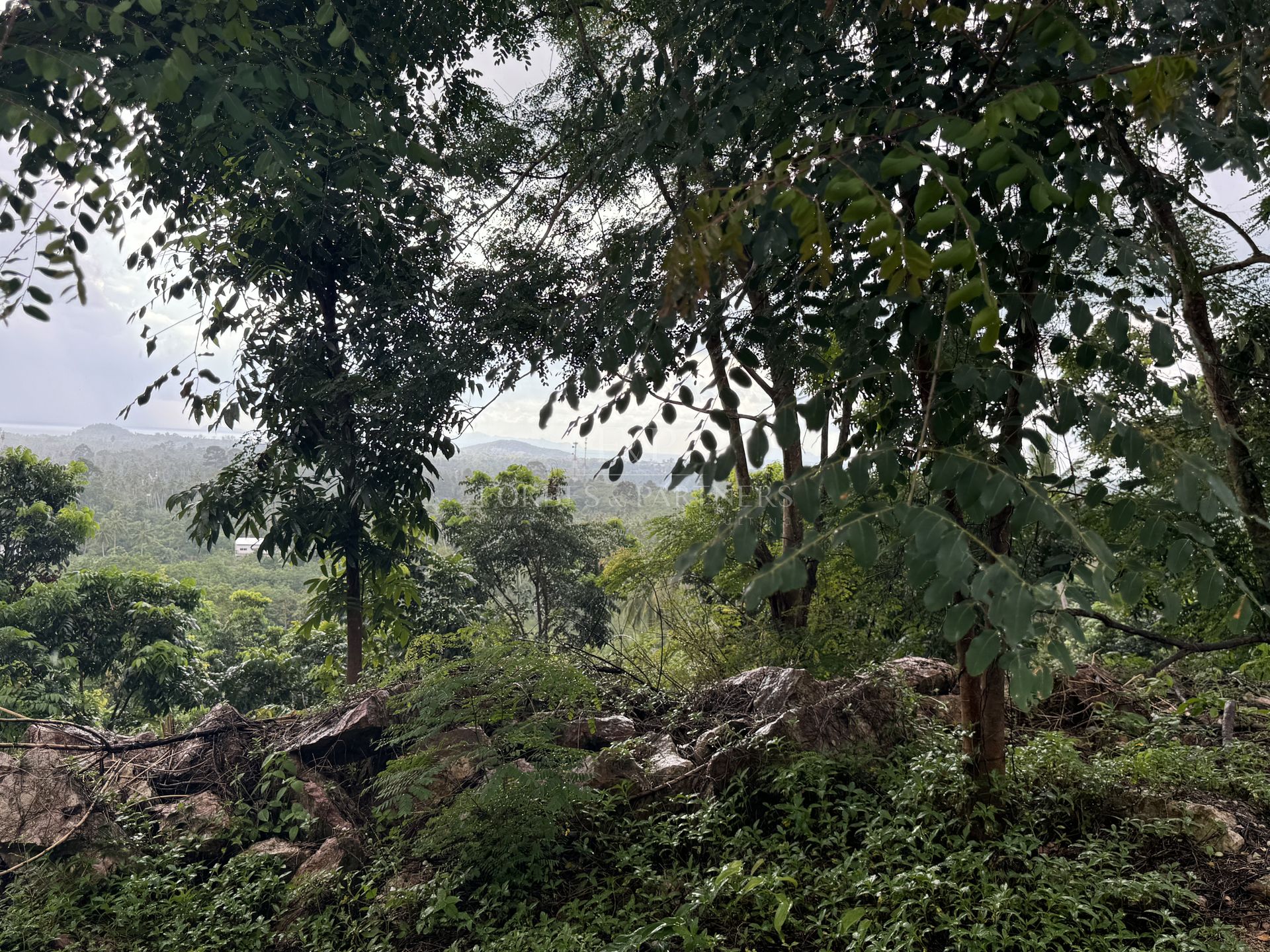 Premium 1600 SQM Mountain Land with Sea View for Sale in Lipa Noi, Koh Samui - Lipa Noi, Ko Samui, Thailand