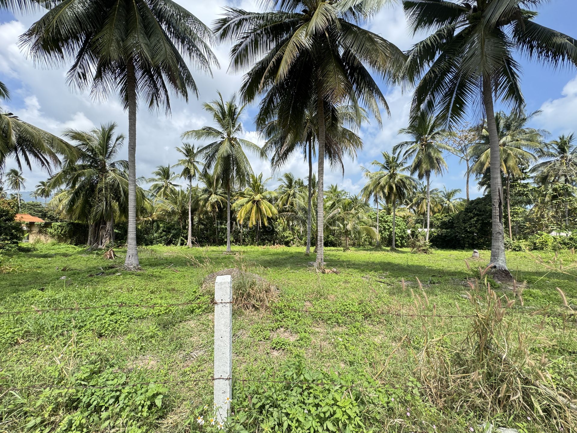 Tropical 3,136 sqm Land for Sale in Namuang, Koh Samui, Ideal Investment - Namuang, Ko Samui, Thailand