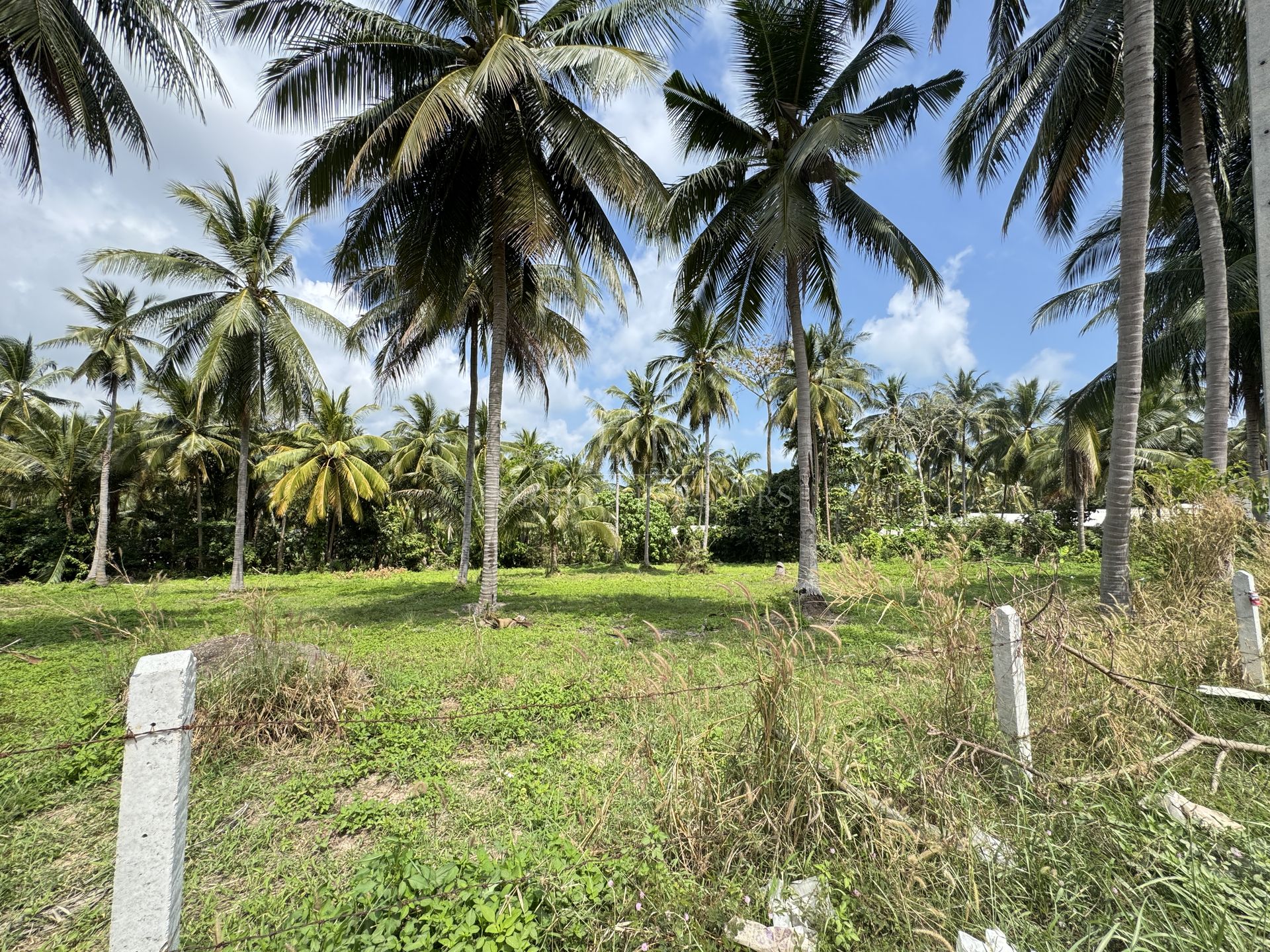 Tropical 3,136 sqm Land for Sale in Namuang, Koh Samui, Ideal Investment - Namuang, Ko Samui, Thailand