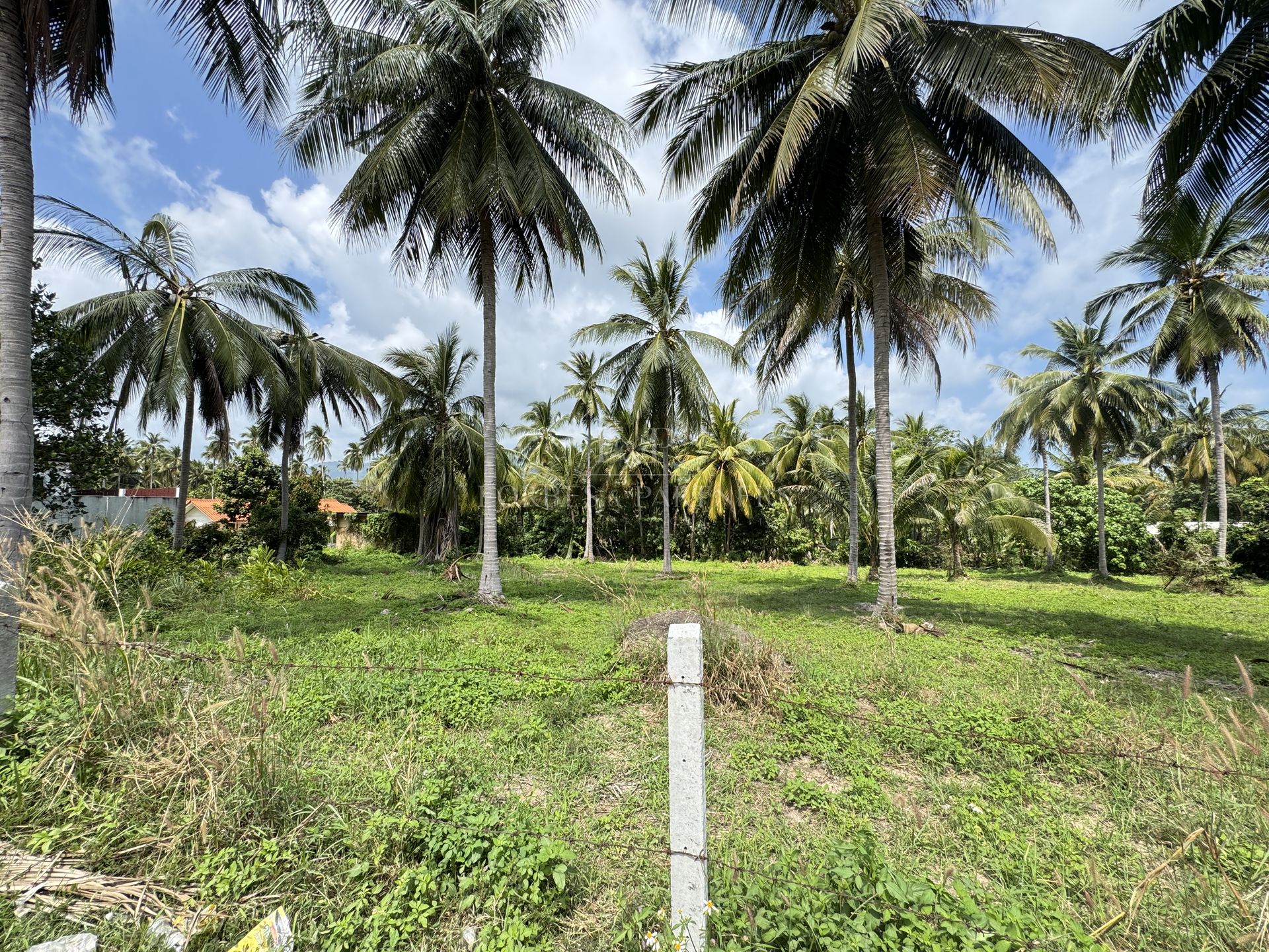 Tropical 3,136 sqm Land for Sale in Namuang, Koh Samui, Ideal Investment - Namuang, Ko Samui, Thailand