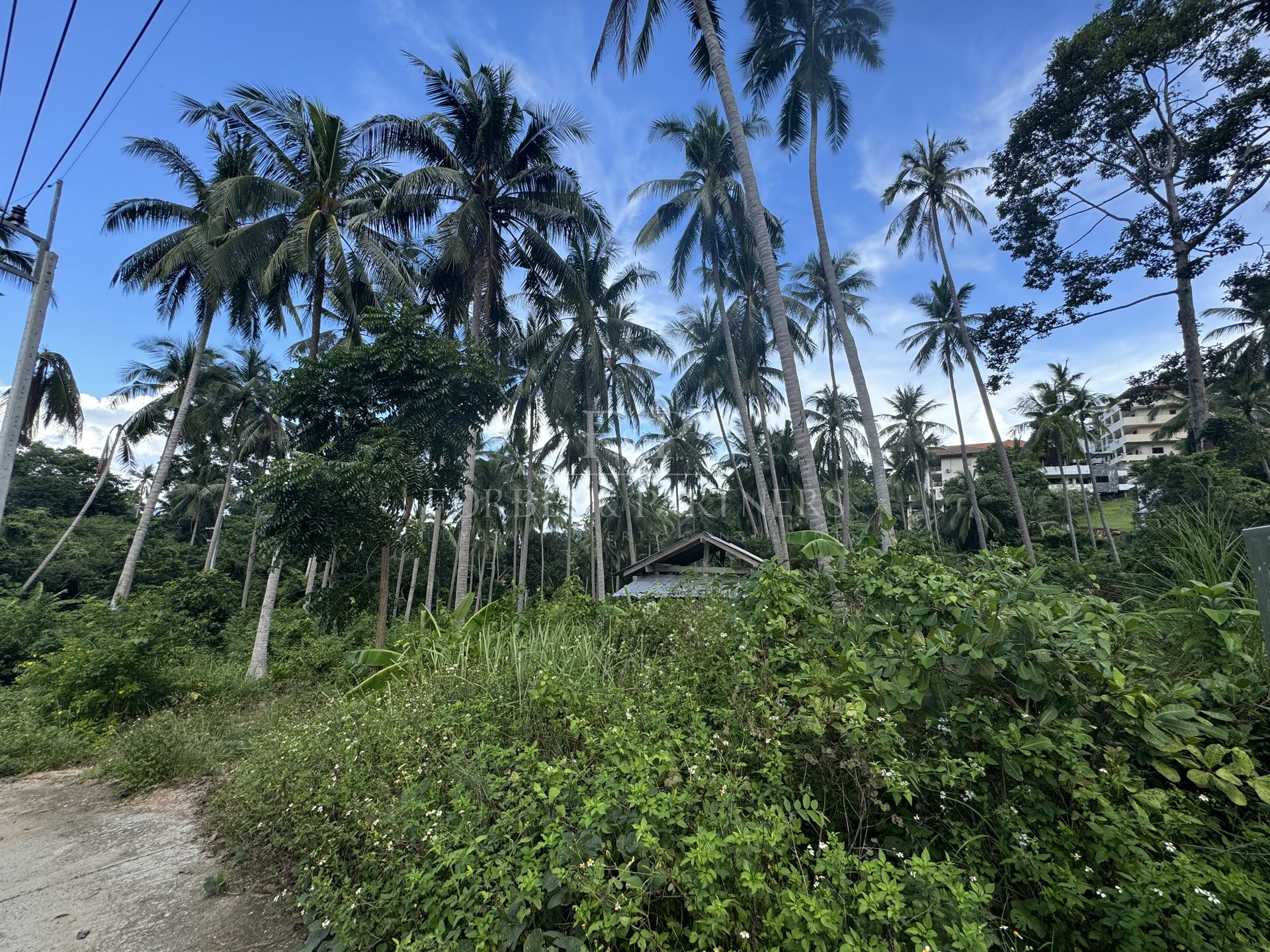 Premium Leasehold Opportunity: 2 Rai in Bo Phut’s Medical District - Bo Phut, Ko Samui, Thailand