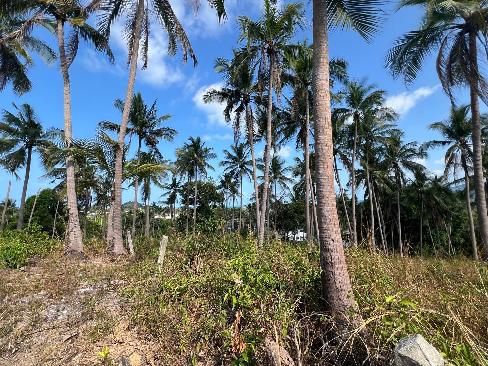 Sea View Land in Chaweng, Koh Samui - Chaweng, Ko Samui, Thailand