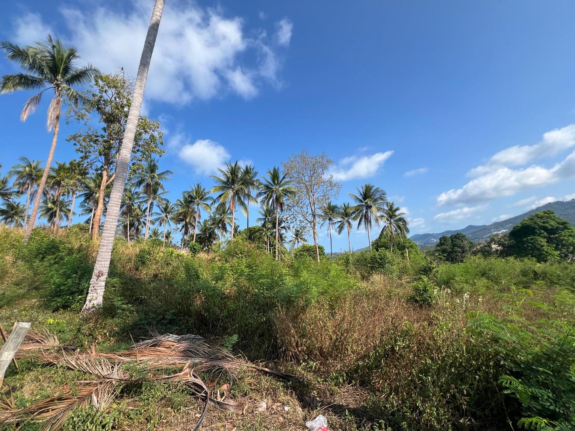 Sea View Land in Chaweng, Koh Samui - Chaweng, Ko Samui, Thailand