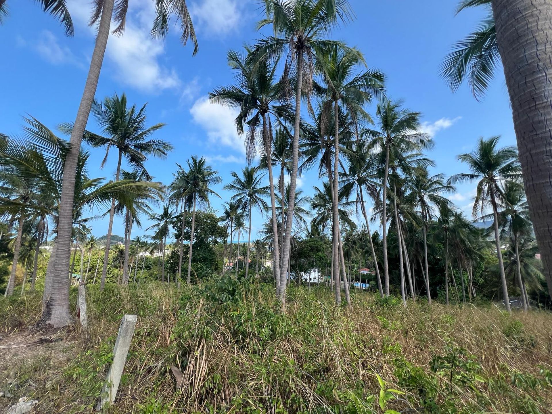 Sea View Land in Chaweng, Koh Samui - Chaweng, Ko Samui, Thailand