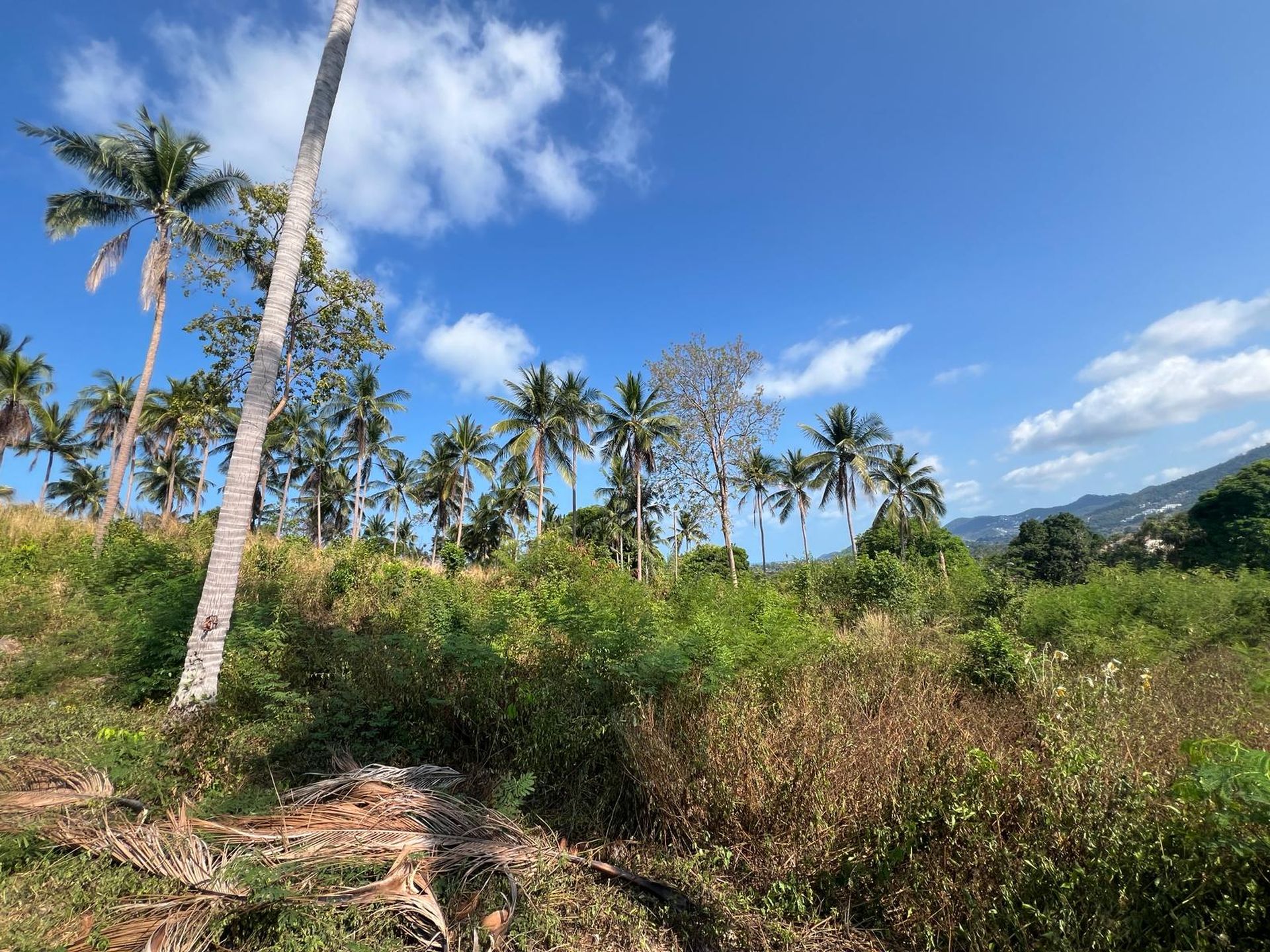 Sea View Land in Chaweng, Koh Samui - Chaweng, Ko Samui, Thailand