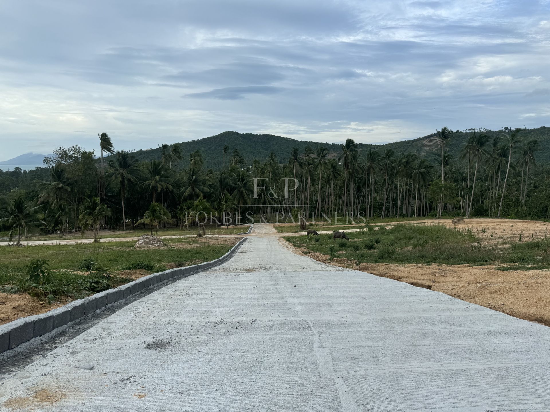Strategic Maenam Land: Prime Plot Near Koh Samui’s Essential Destinations - Maenam, Ko Samui, Thailand