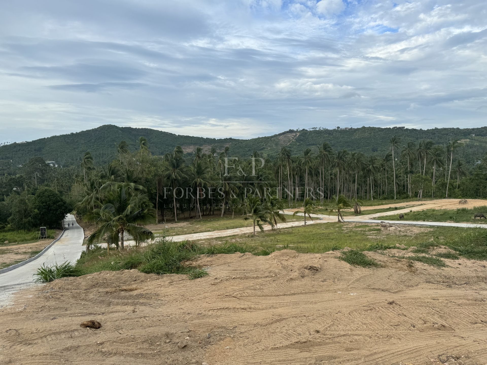 Strategic Maenam Land: Prime Plot Near Koh Samui’s Essential Destinations - Maenam, Ko Samui, Thailand