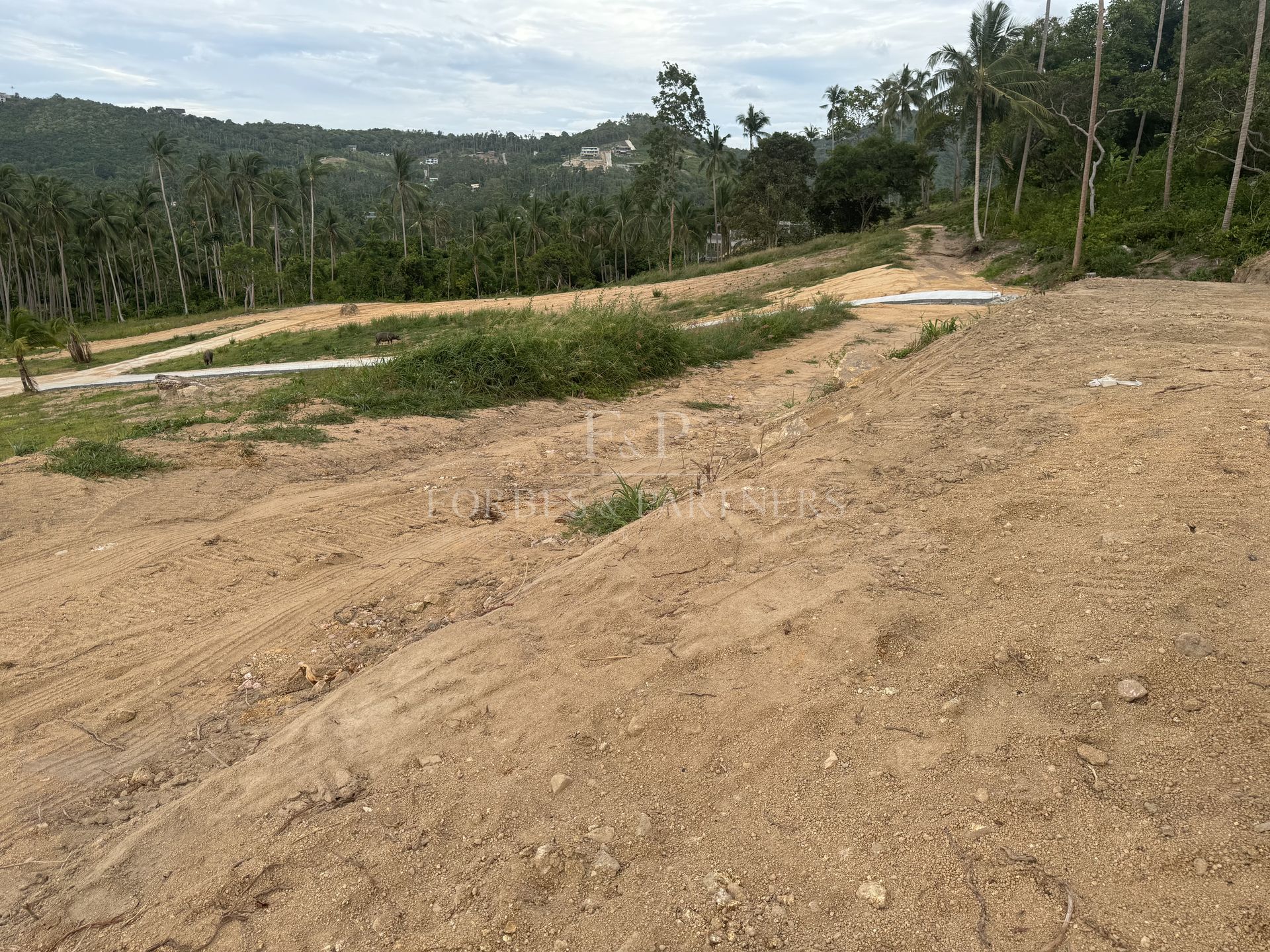 Strategic Maenam Land: Prime Plot Near Koh Samui’s Essential Destinations - Maenam, Ko Samui, Thailand