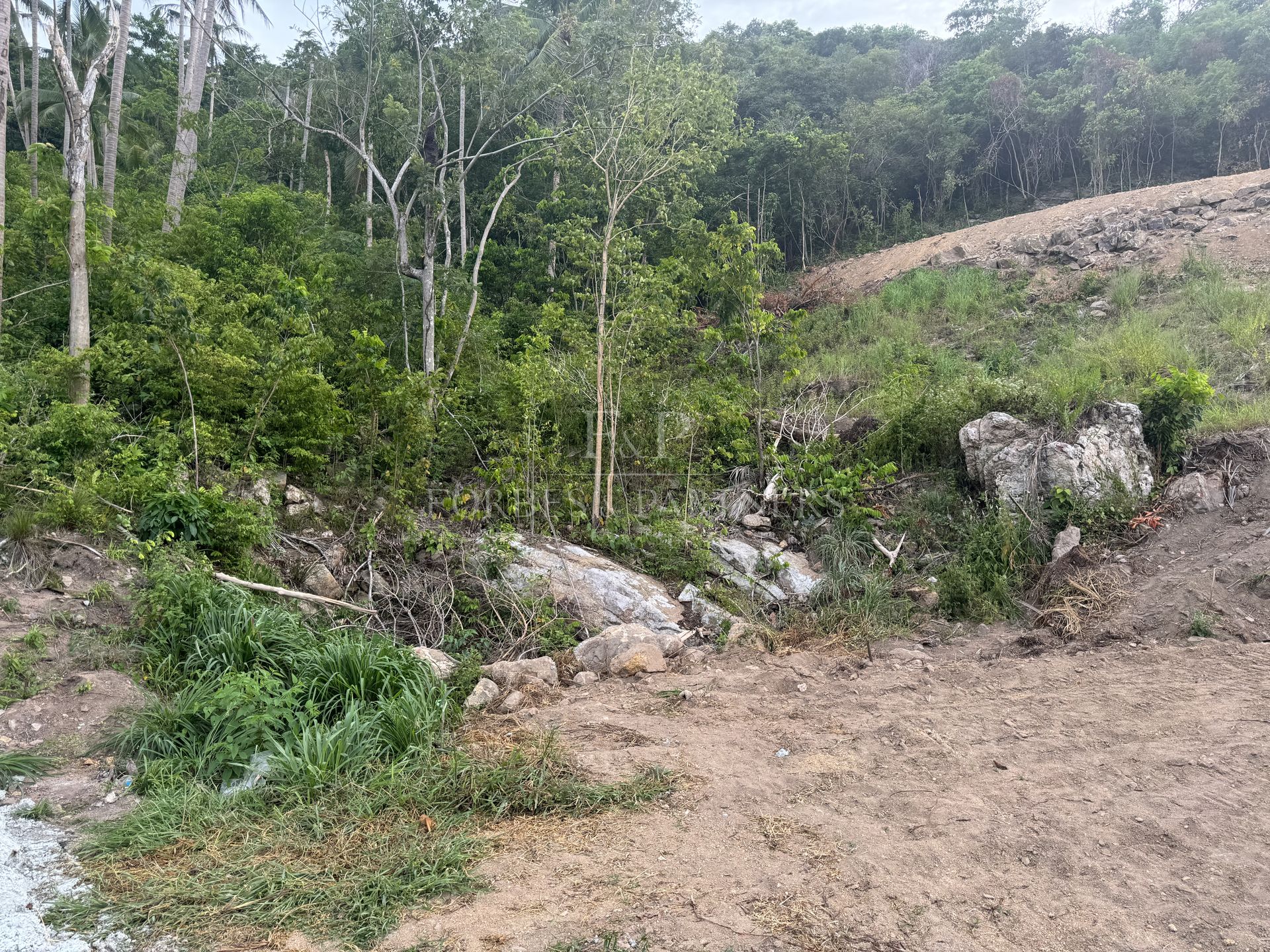 Strategic Maenam Land: Prime Plot Near Koh Samui’s Essential Destinations - Maenam, Ko Samui, Thailand