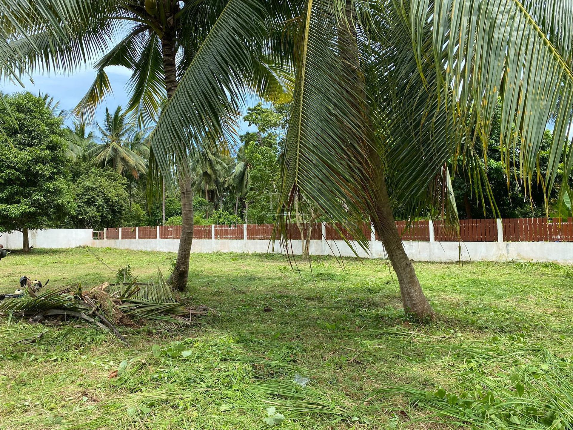 TALING NGAM DEVELOPMENT LAND: 2,459 SQM READY TO BUILD - Taling Ngam, Ko Samui, Thailand