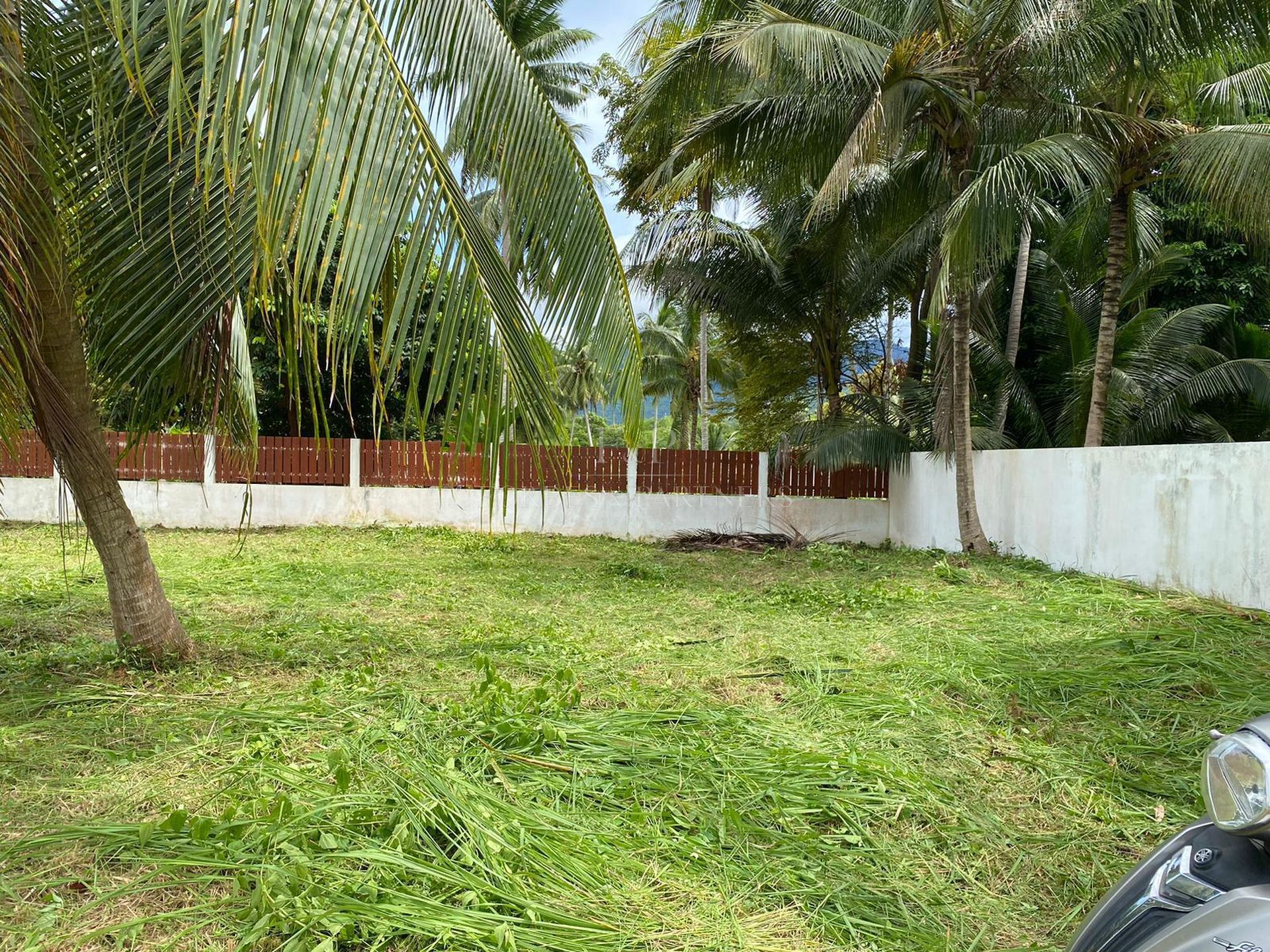 TALING NGAM DEVELOPMENT LAND: 2,459 SQM READY TO BUILD - Taling Ngam, Ko Samui, Thailand