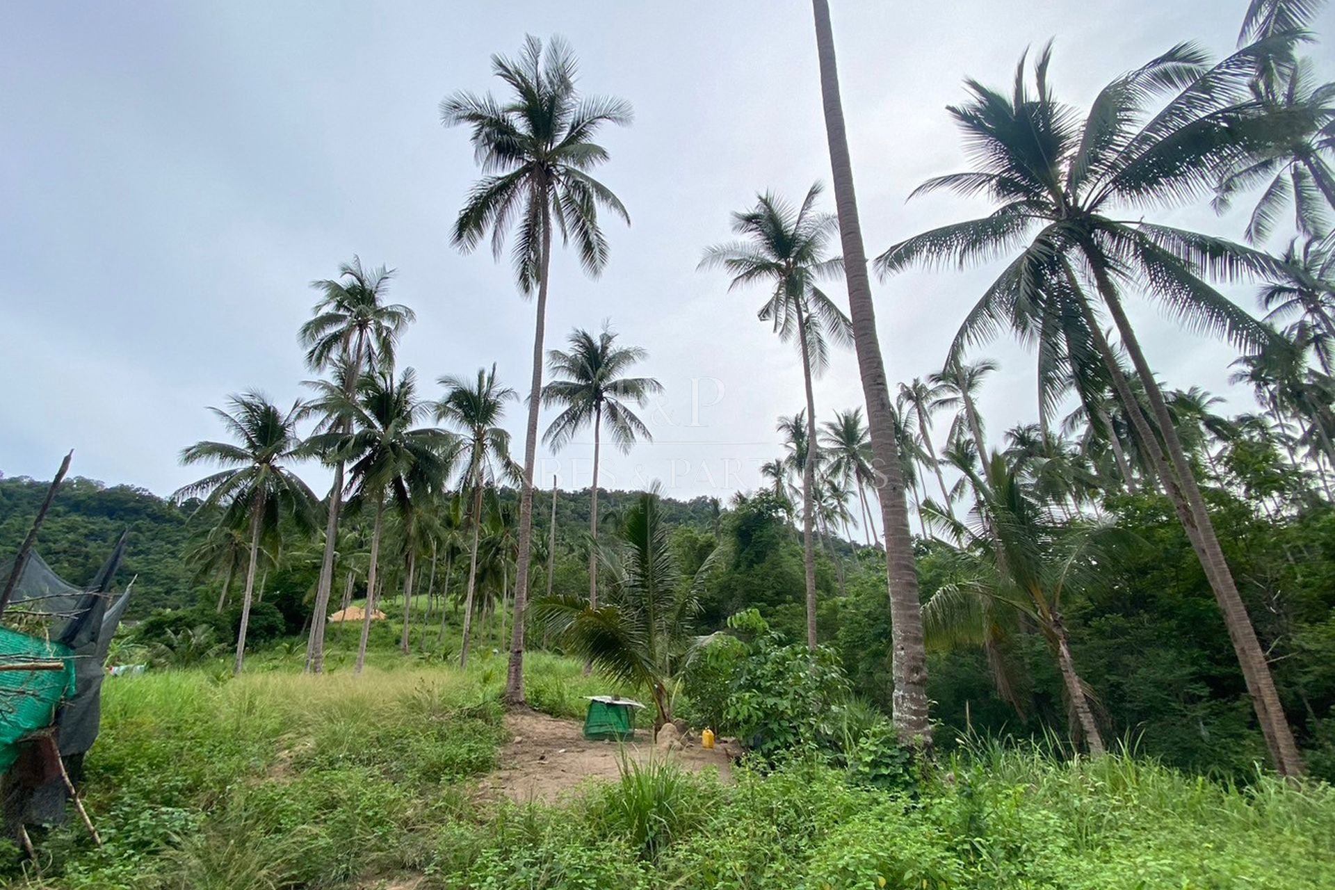 Idyllic 5-Rai Hillside Haven: Sea and Coconut Garden Views in Maenam, Koh Samui - Maenam, Ko Samui, Thailand