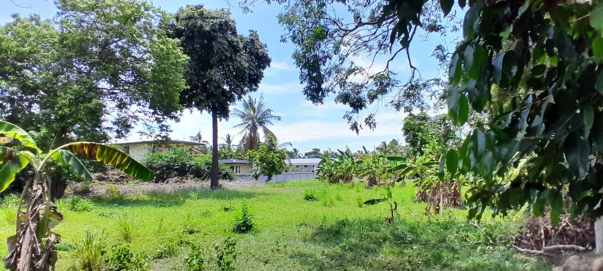 Prime Land for Sale Near Laem Sor Beach Koh Samui, Ready to Build - Laem Sor, Ko Samui, Thailand