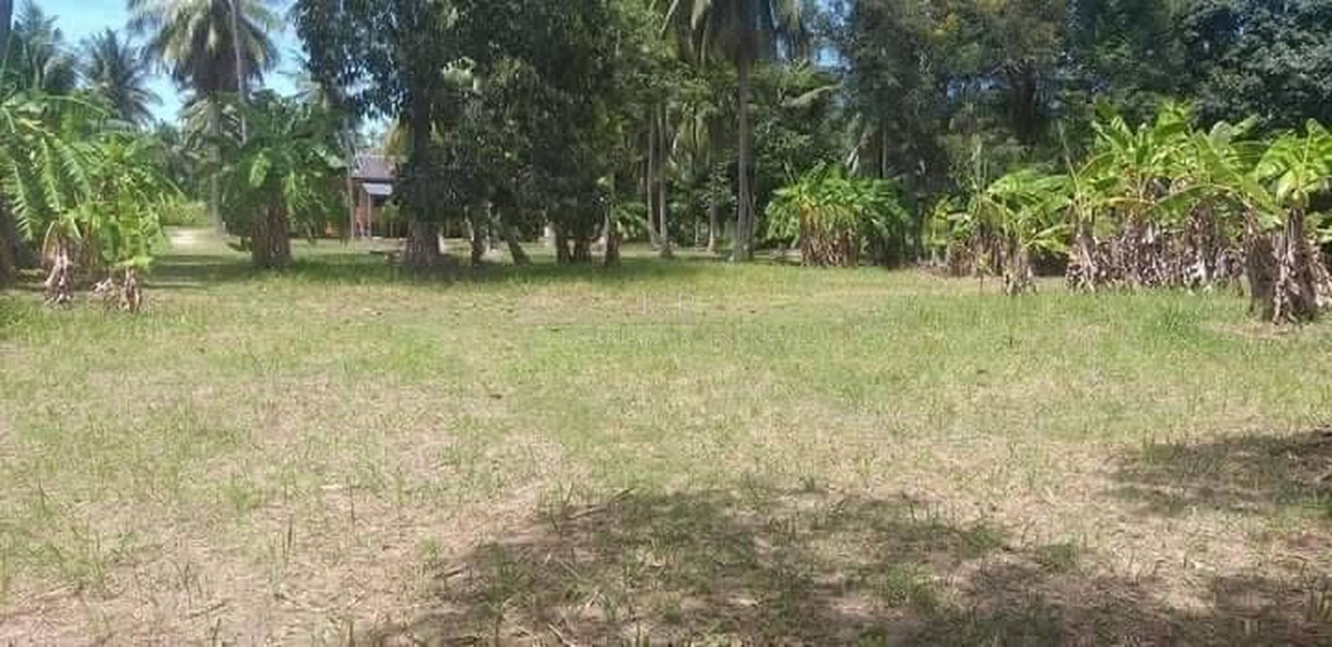 Prime Land for Sale Near Laem Sor Beach Koh Samui, Ready to Build - Laem Sor, Ko Samui, Thailand