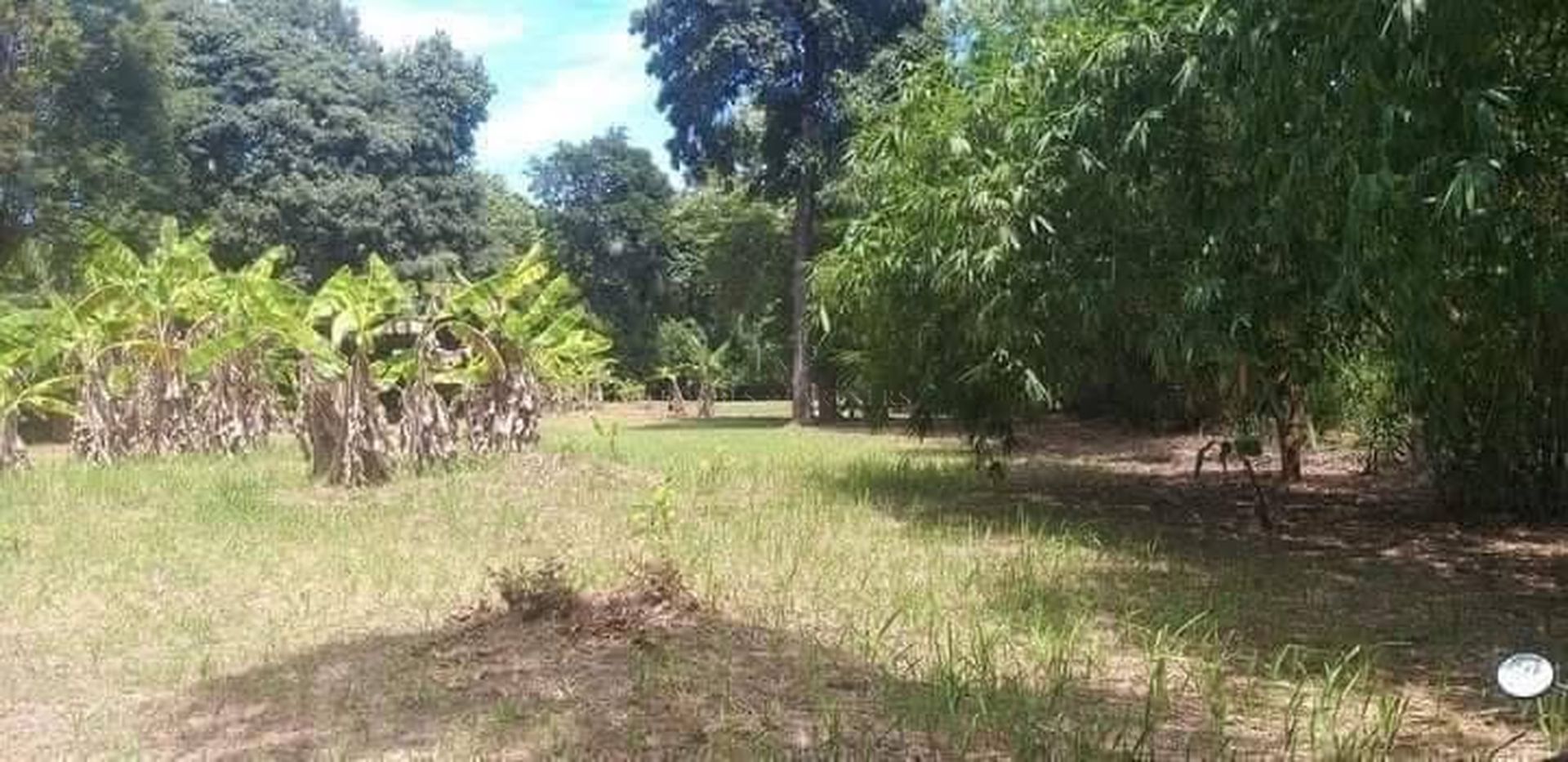 Prime Land for Sale Near Laem Sor Beach Koh Samui, Ready to Build - Laem Sor, Ko Samui, Thailand