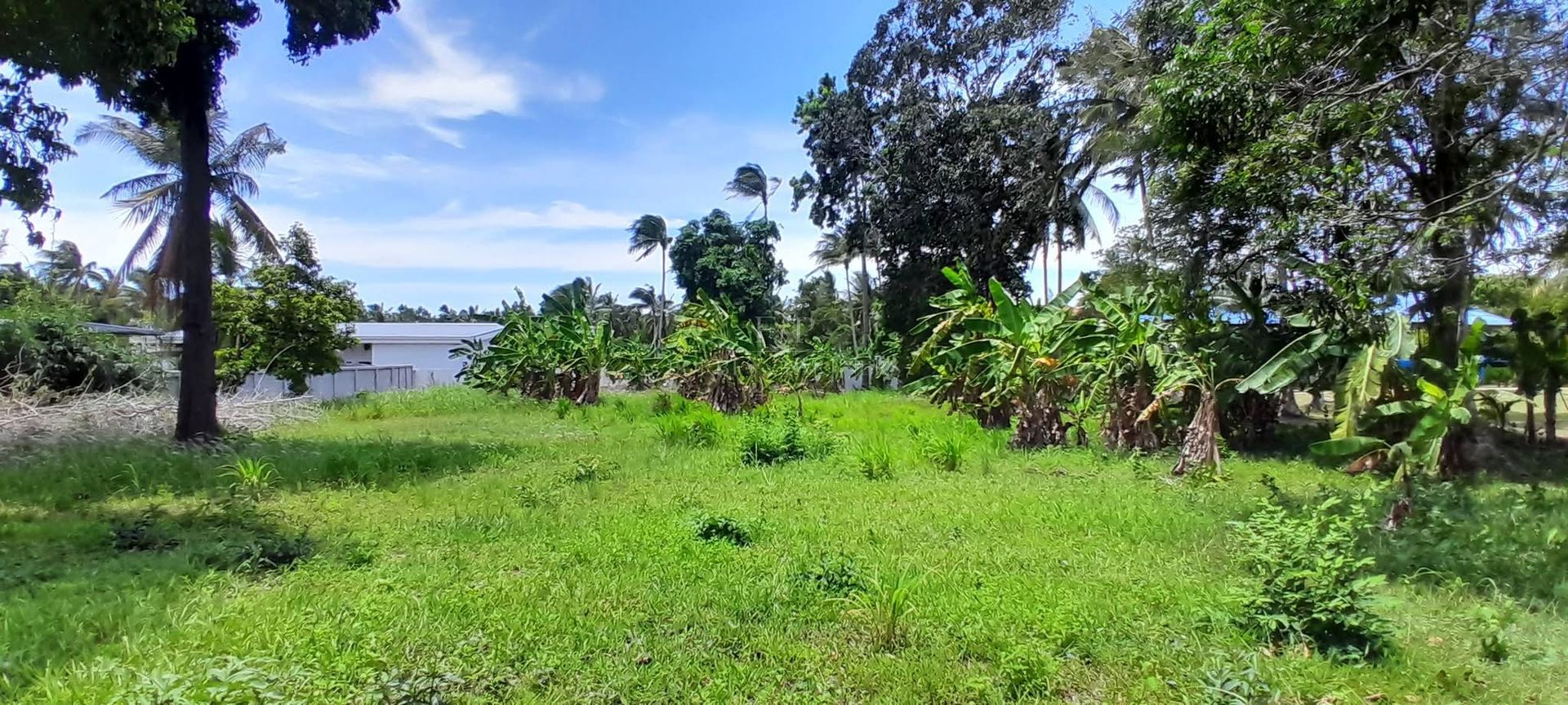 Prime Land for Sale Near Laem Sor Beach Koh Samui, Ready to Build - Laem Sor, Ko Samui, Thailand