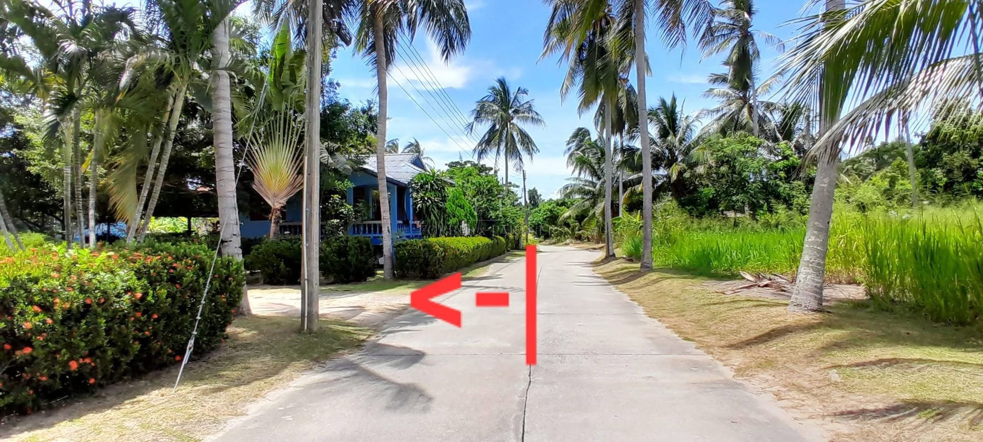 Prime Land for Sale Near Laem Sor Beach Koh Samui, Ready to Build - Laem Sor, Ko Samui, Thailand