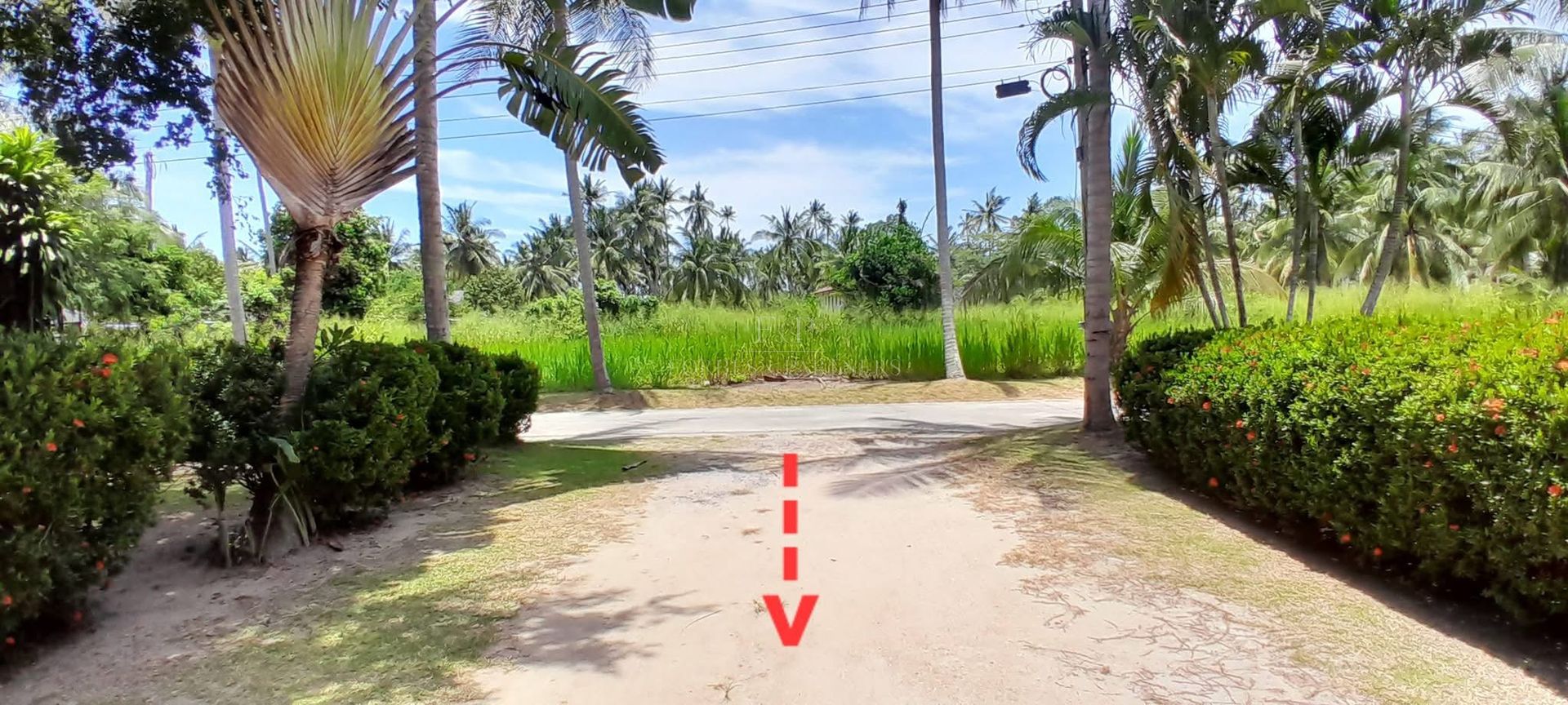 Prime Land for Sale Near Laem Sor Beach Koh Samui, Ready to Build - Laem Sor, Ko Samui, Thailand
