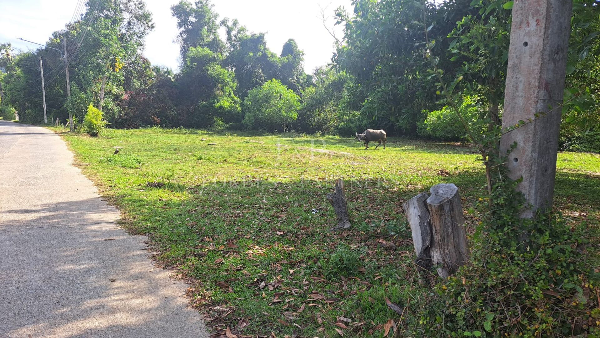 Strategic 9-Rai Land Plot for Sale in Na Mueang: Premium Investment Opportunity - Namuang, Ko Samui, Thailand