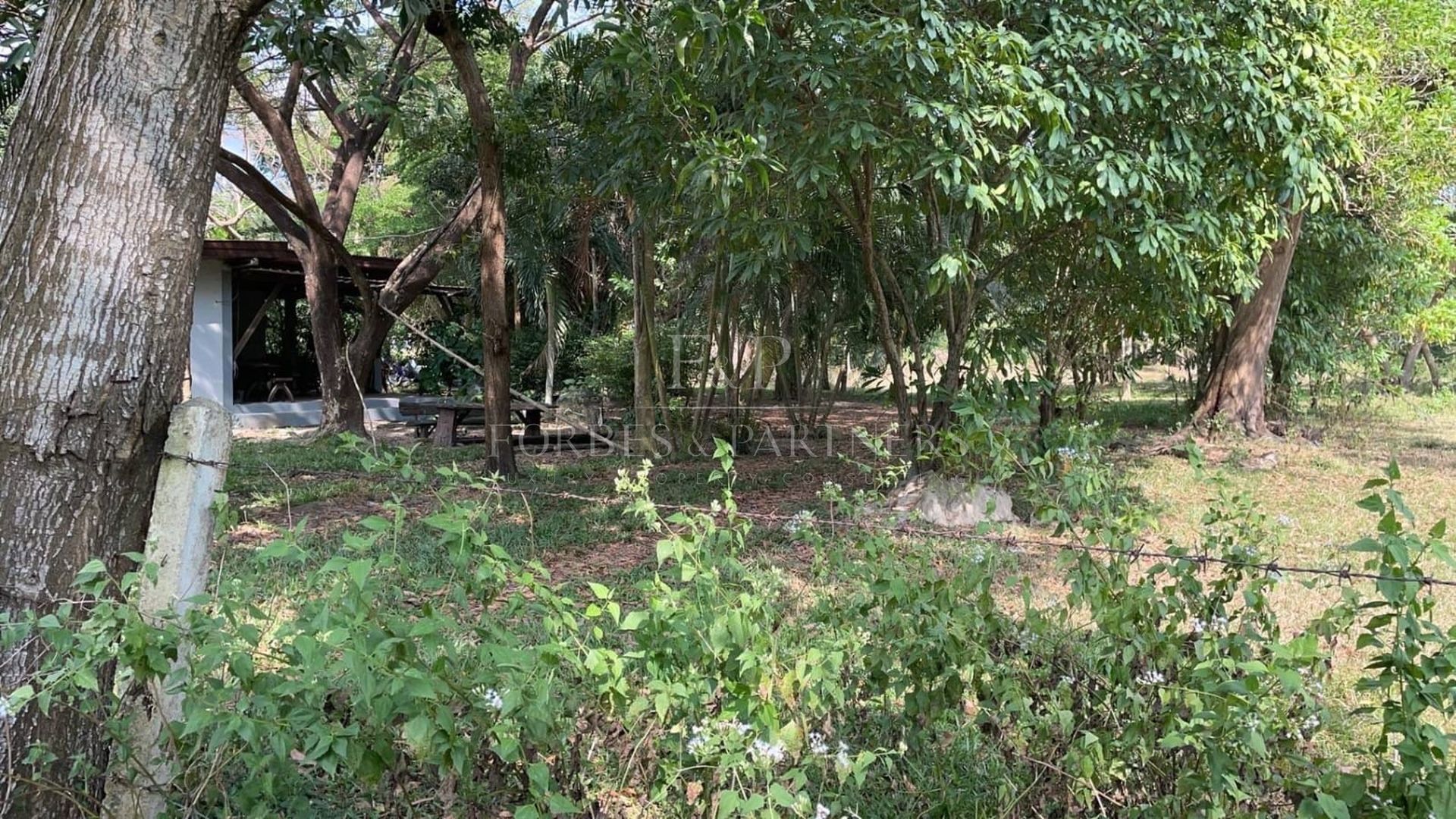 Strategic 9-Rai Land Plot for Sale in Na Mueang: Premium Investment Opportunity - Namuang, Ko Samui, Thailand