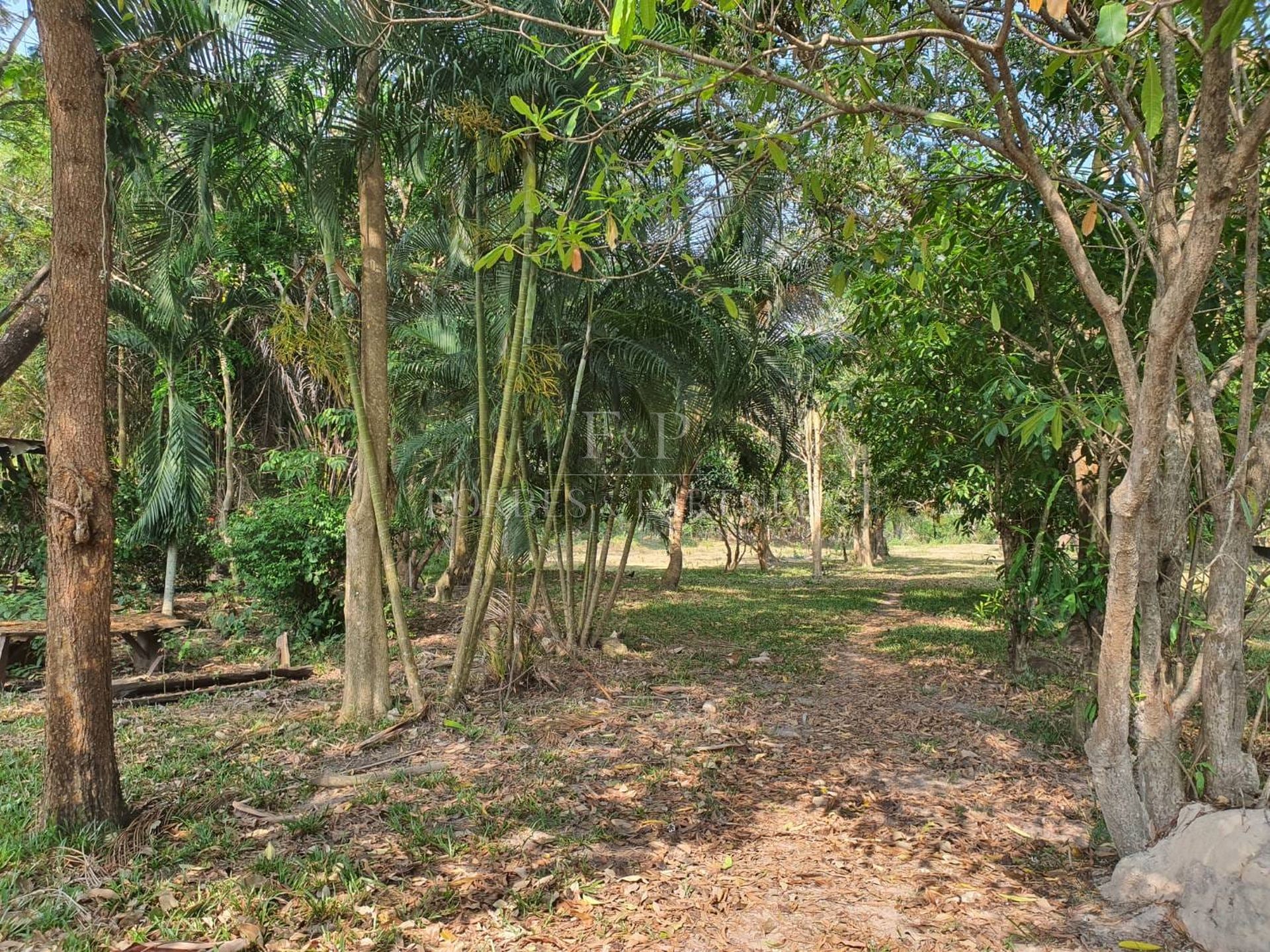 Strategic 9-Rai Land Plot for Sale in Na Mueang: Premium Investment Opportunity - Namuang, Ko Samui, Thailand