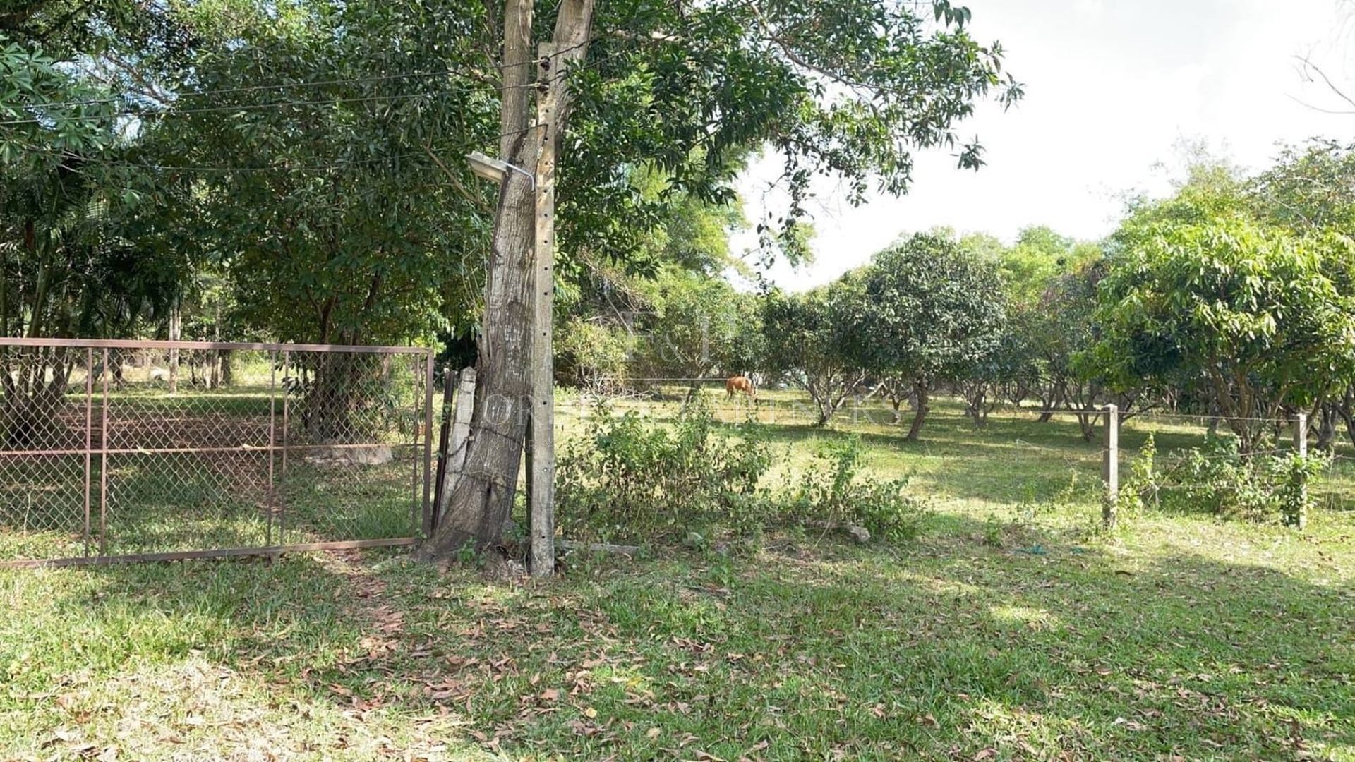 Strategic 9-Rai Land Plot for Sale in Na Mueang: Premium Investment Opportunity - Namuang, Ko Samui, Thailand