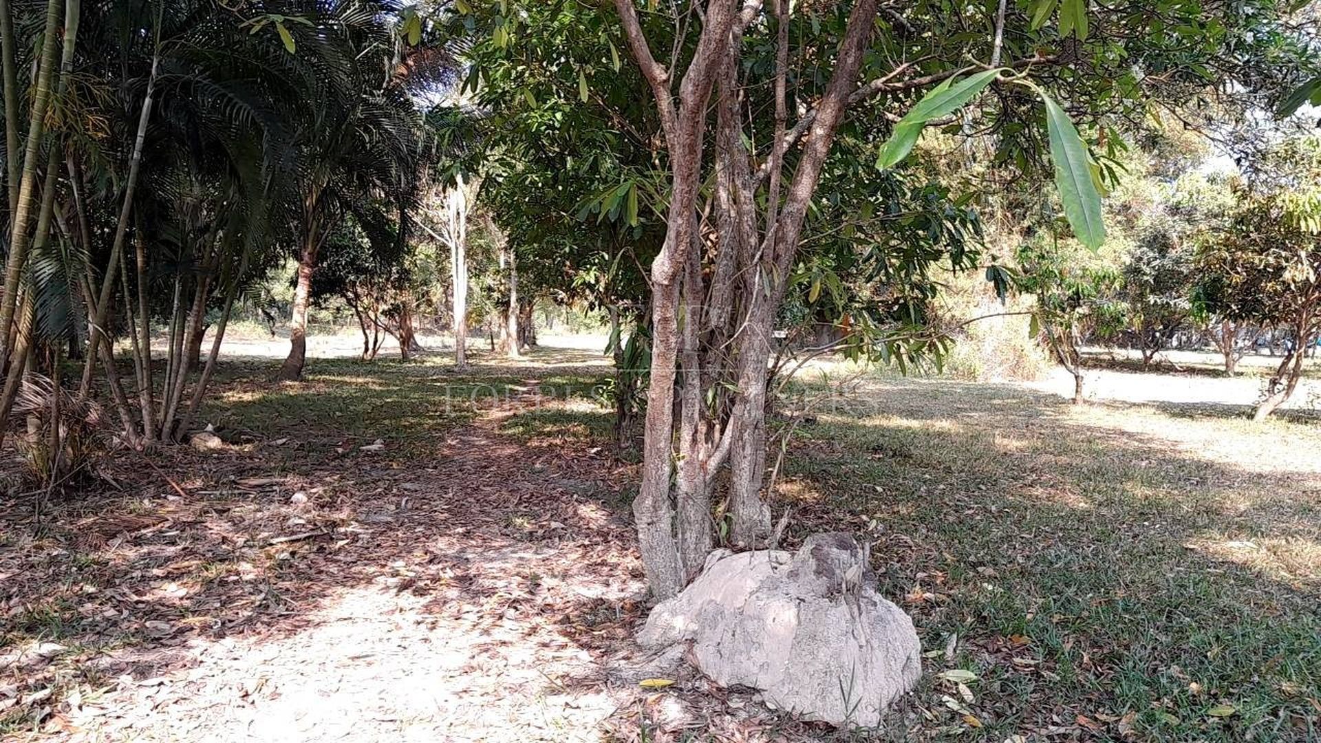Strategic 9-Rai Land Plot for Sale in Na Mueang: Premium Investment Opportunity - Namuang, Ko Samui, Thailand