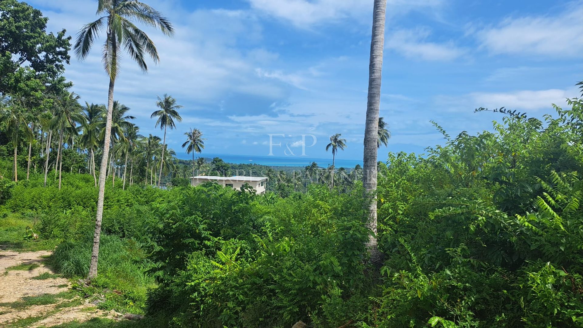 11 Rai Sea View Land for Sale in Taling Ngam, Ko Samui, Thailand - Taling Ngam, Ko Samui, Thailand