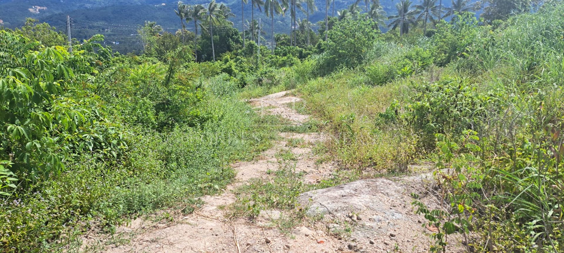 11 Rai Sea View Land for Sale in Taling Ngam, Ko Samui, Thailand - Taling Ngam, Ko Samui, Thailand