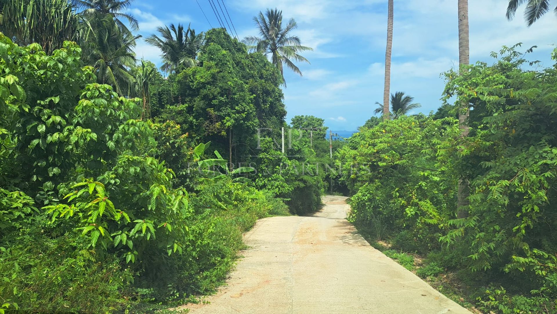 11 Rai Sea View Land for Sale in Taling Ngam, Ko Samui, Thailand - Taling Ngam, Ko Samui, Thailand